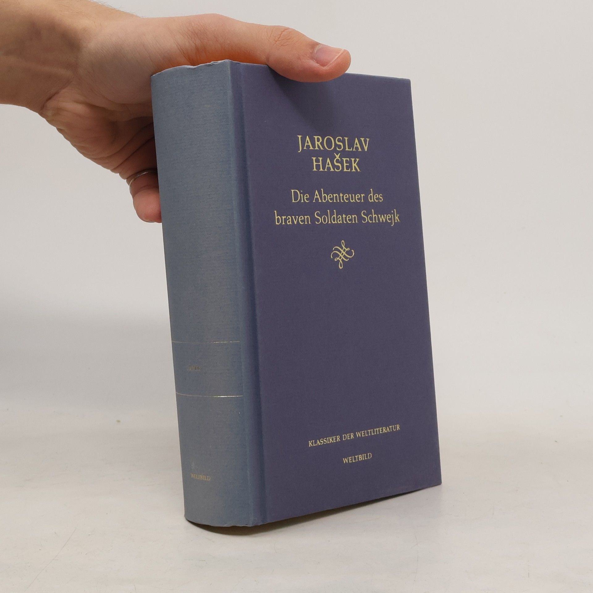 Jaroslav Hašek Die Abenteuer des braven Soldaten Schwejk
