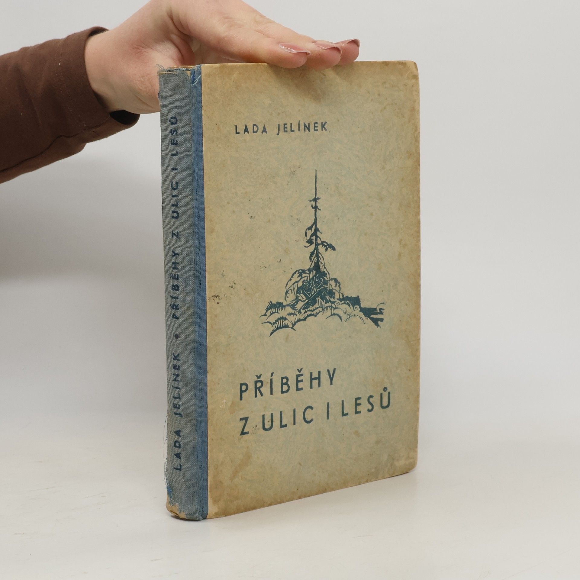 Příběhy z ulic i lesů