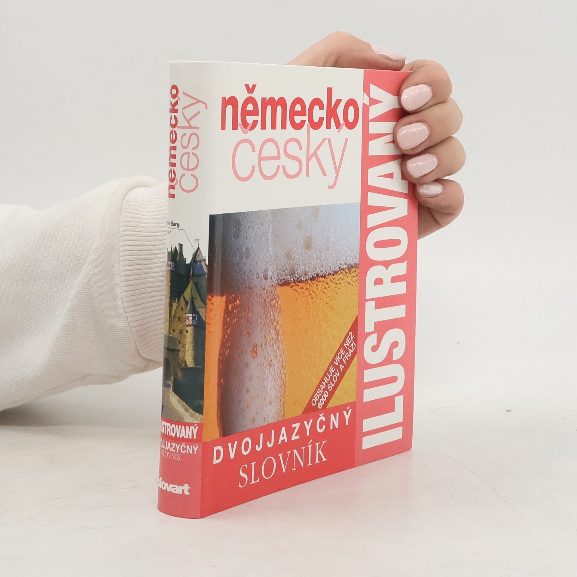 Kolektiv autorů Německo-český dvojjazyčný ilustrovaný slovník