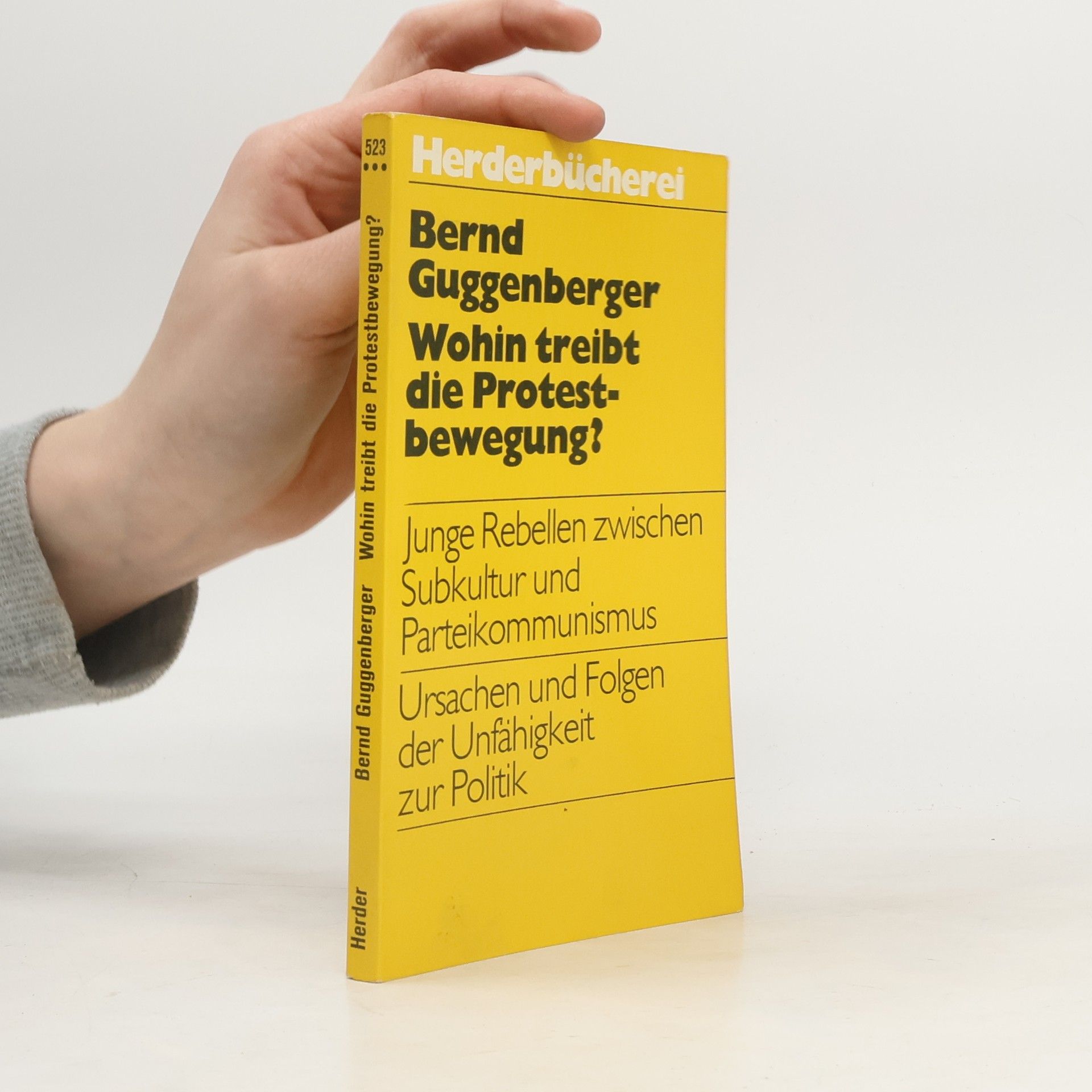 Bernd Guggenberger Wohin treibt die Protestbewegung?