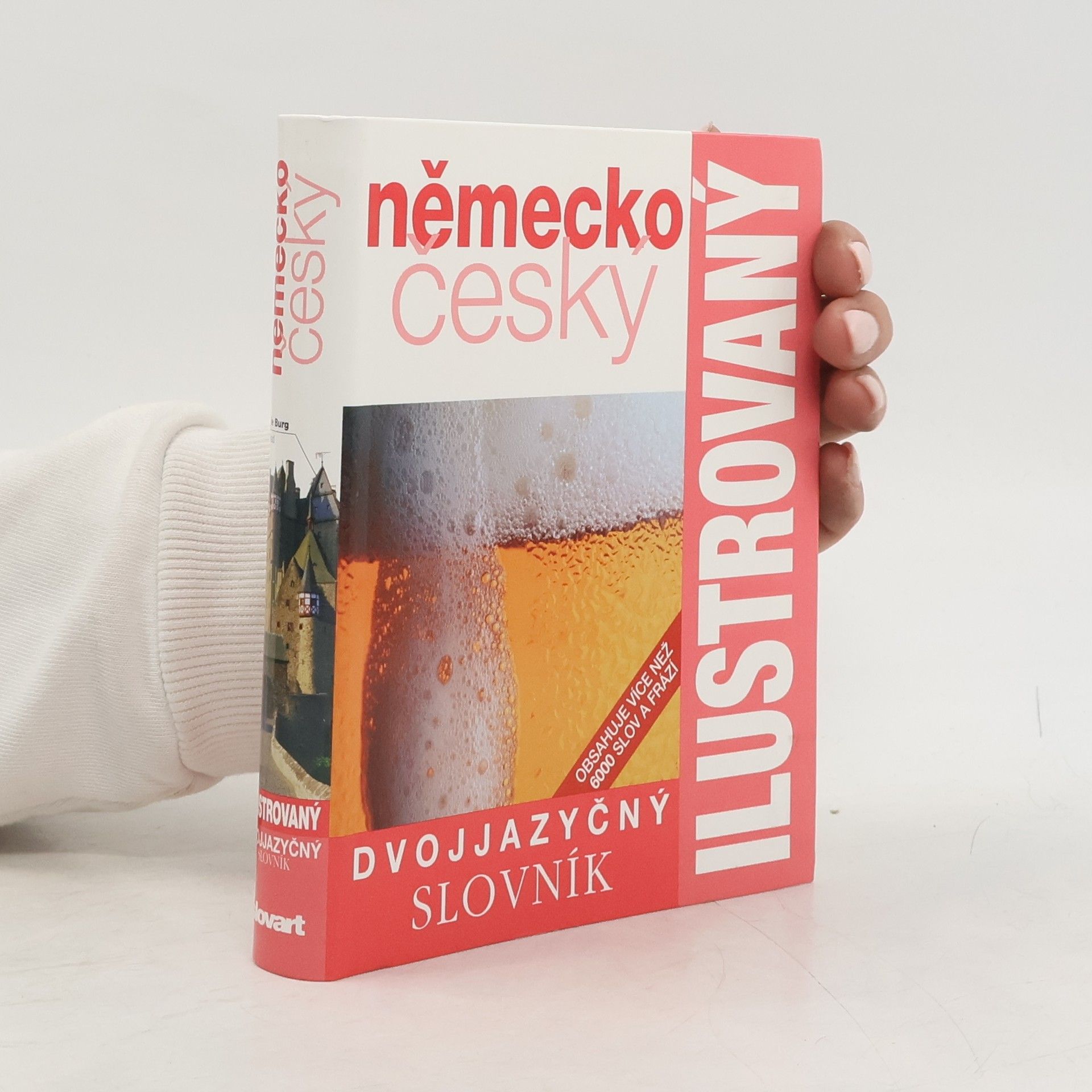 Autorenkollektiv Německo-český dvojjazyčný ilustrovaný slovník