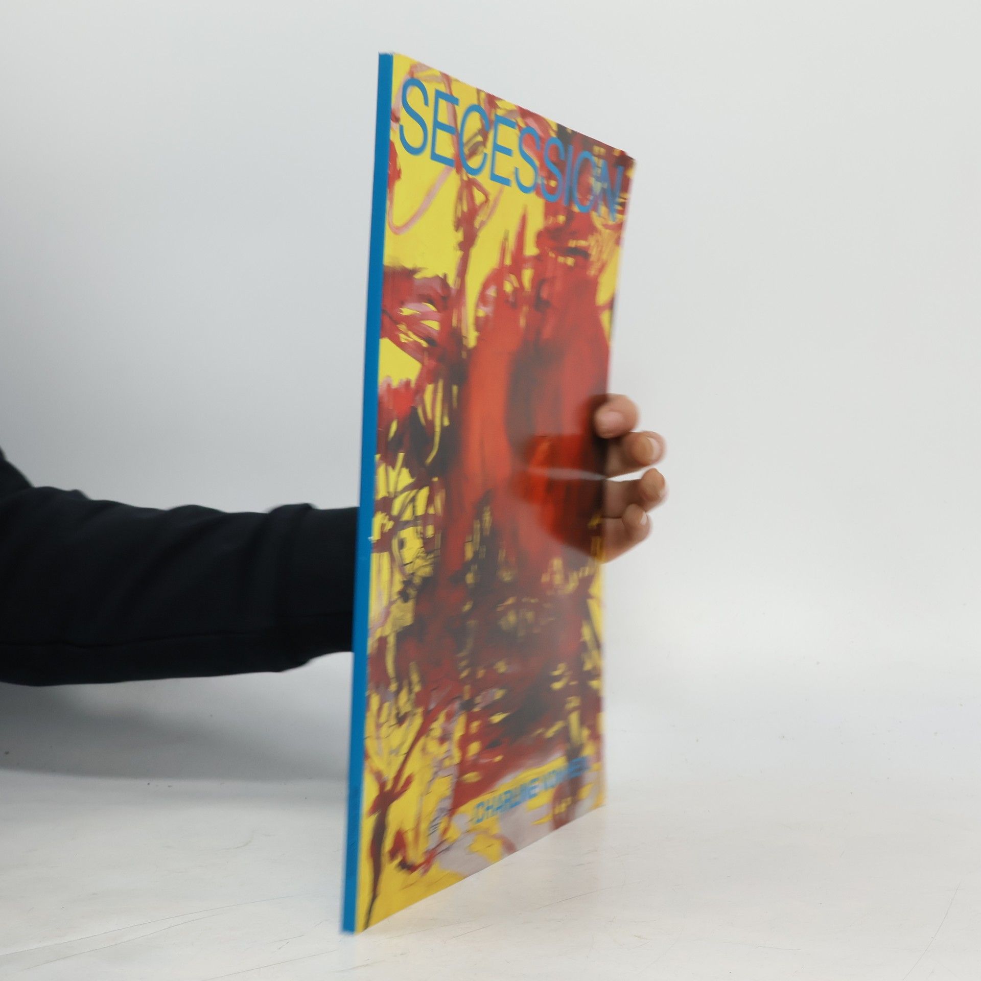 Autorenkollektiv Charline von Heyl