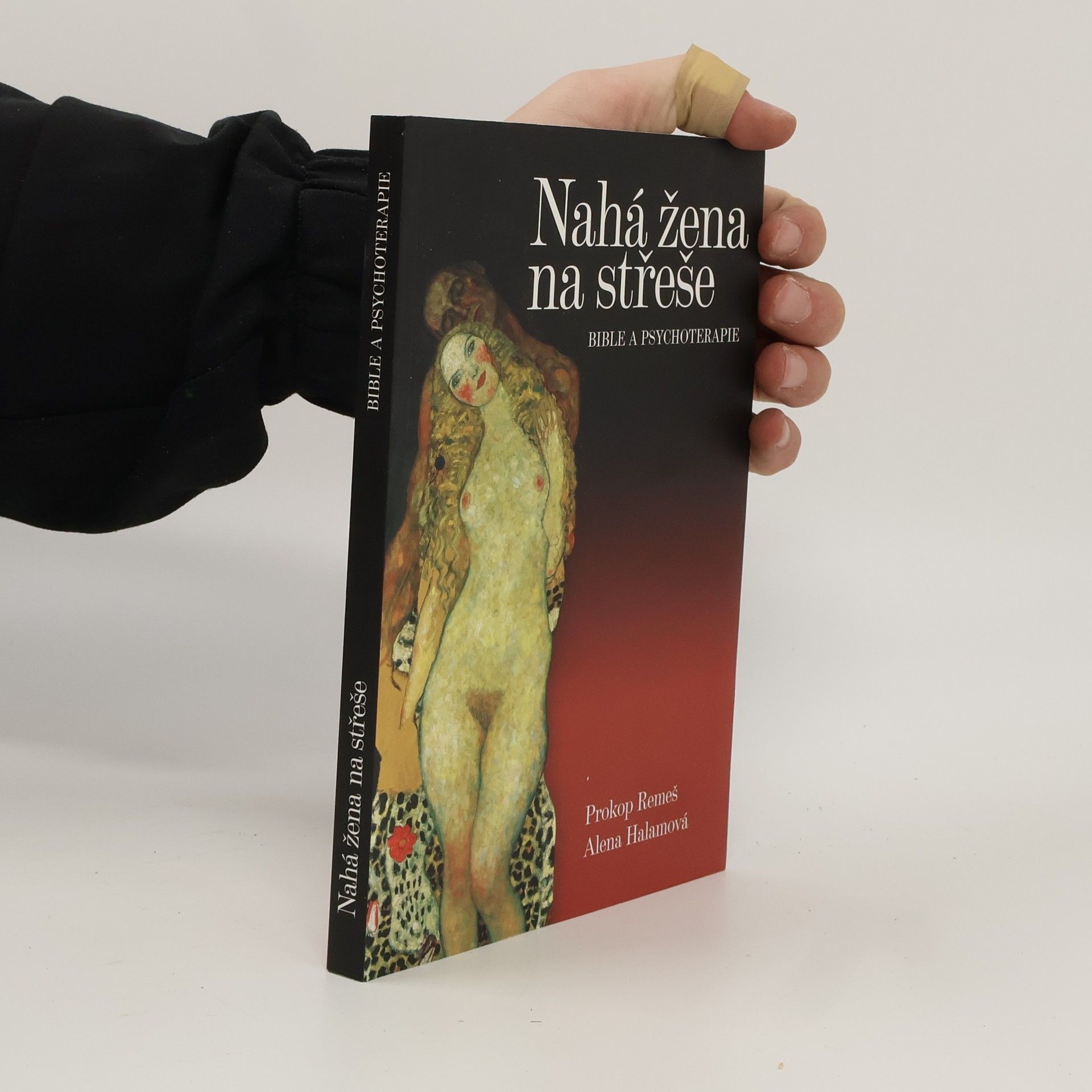 Prokop Remeš Nahá žena na střeše