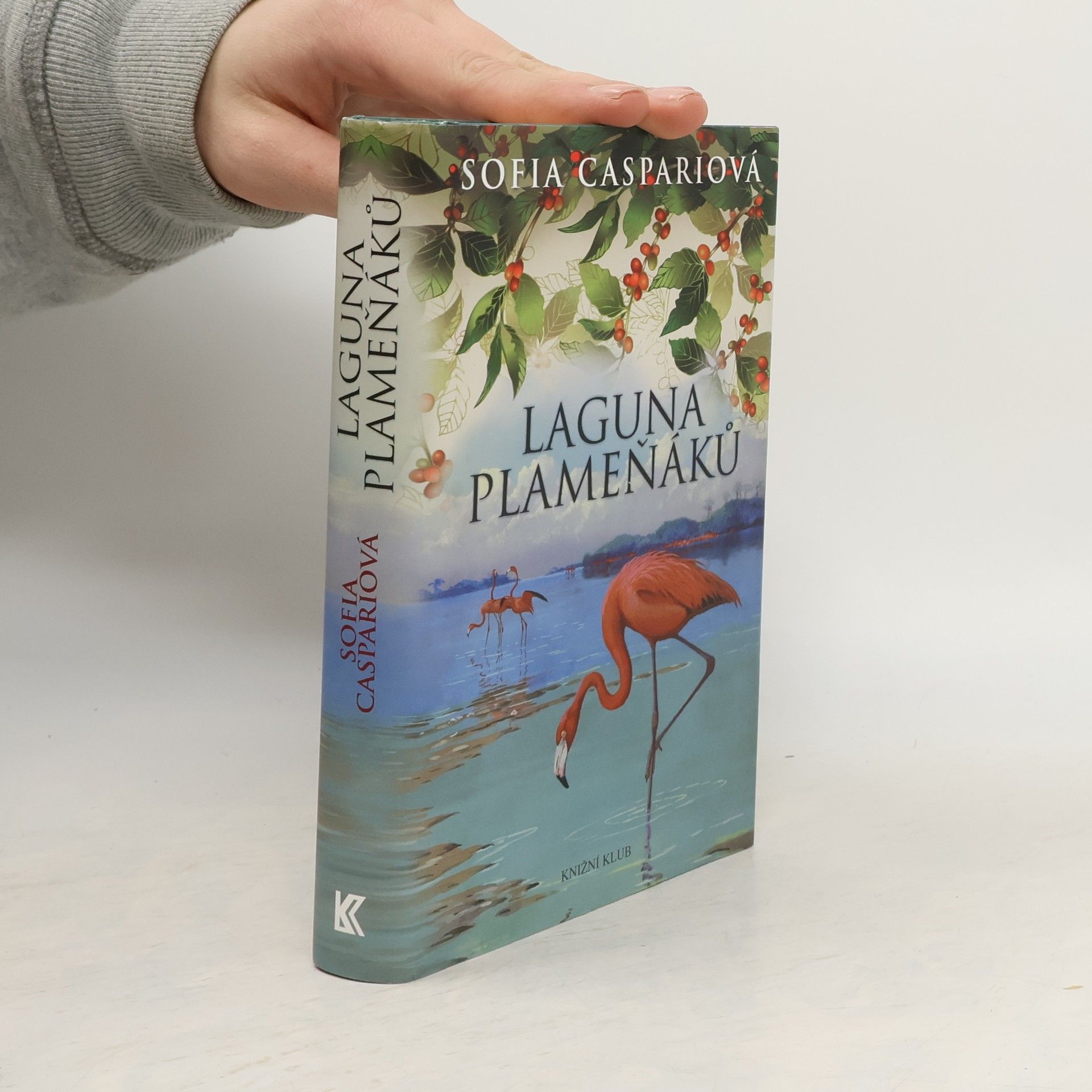 Sofia Caspari Laguna plameňáků