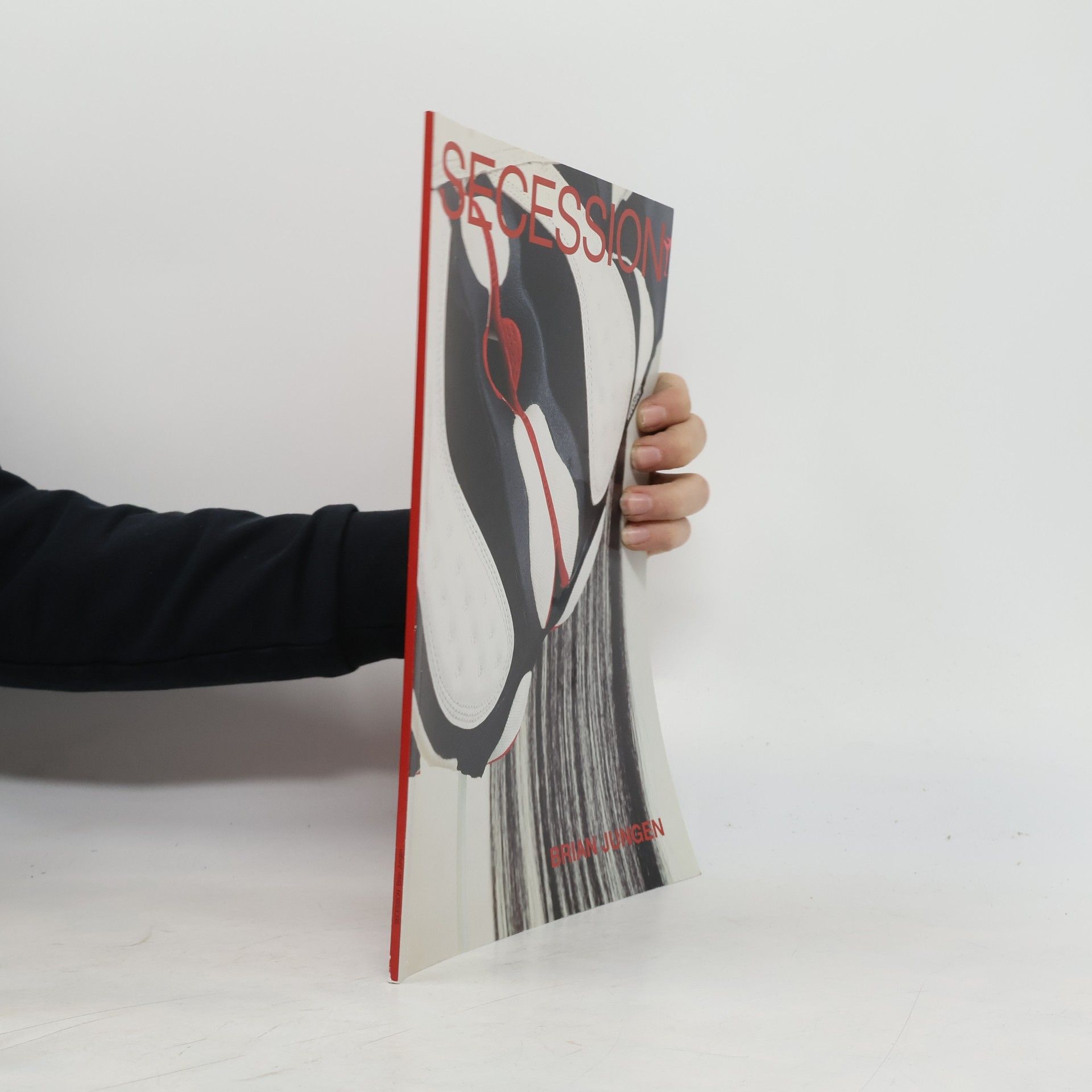 Autorenkollektiv Brian Jungen