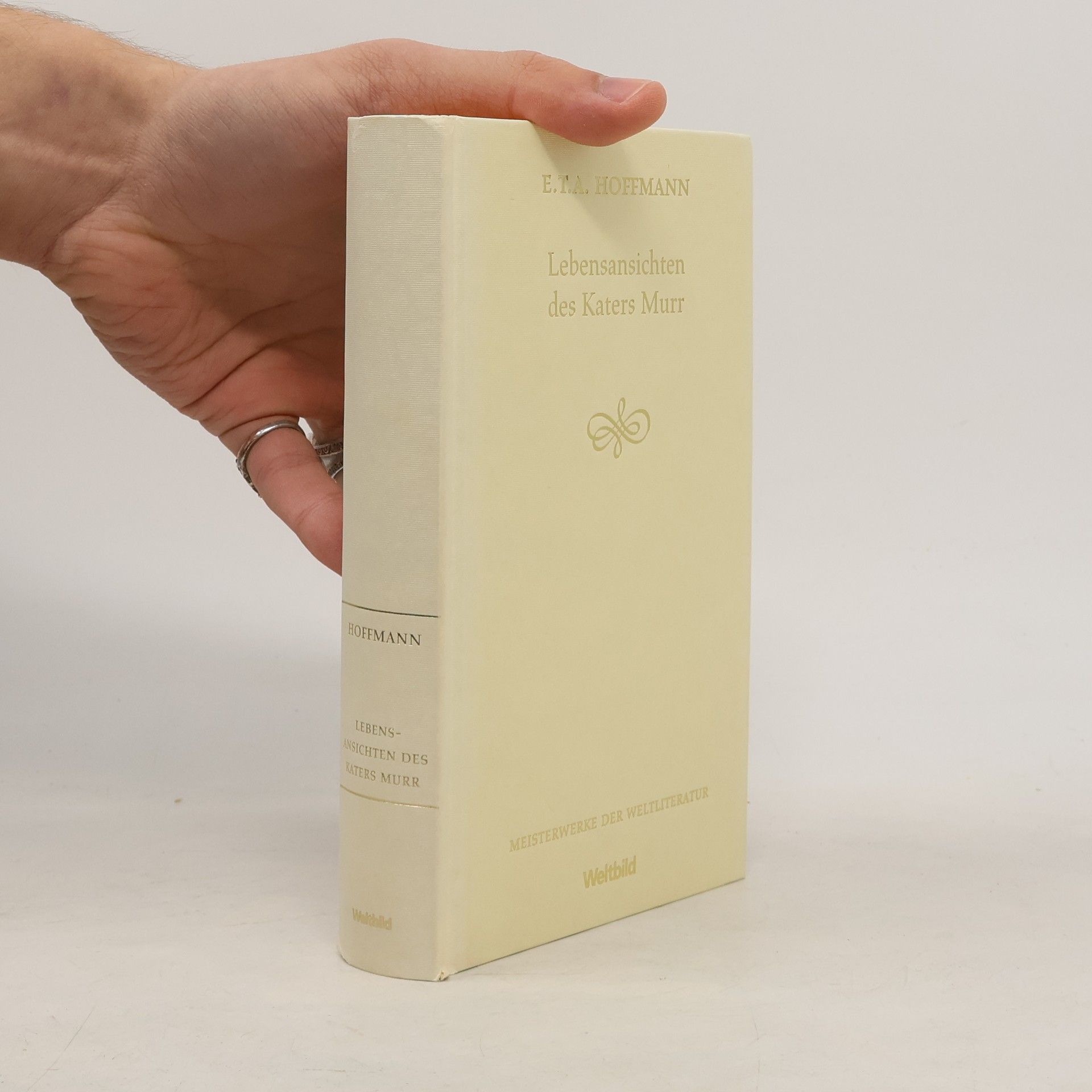 Lebensansichten des Katers Murr