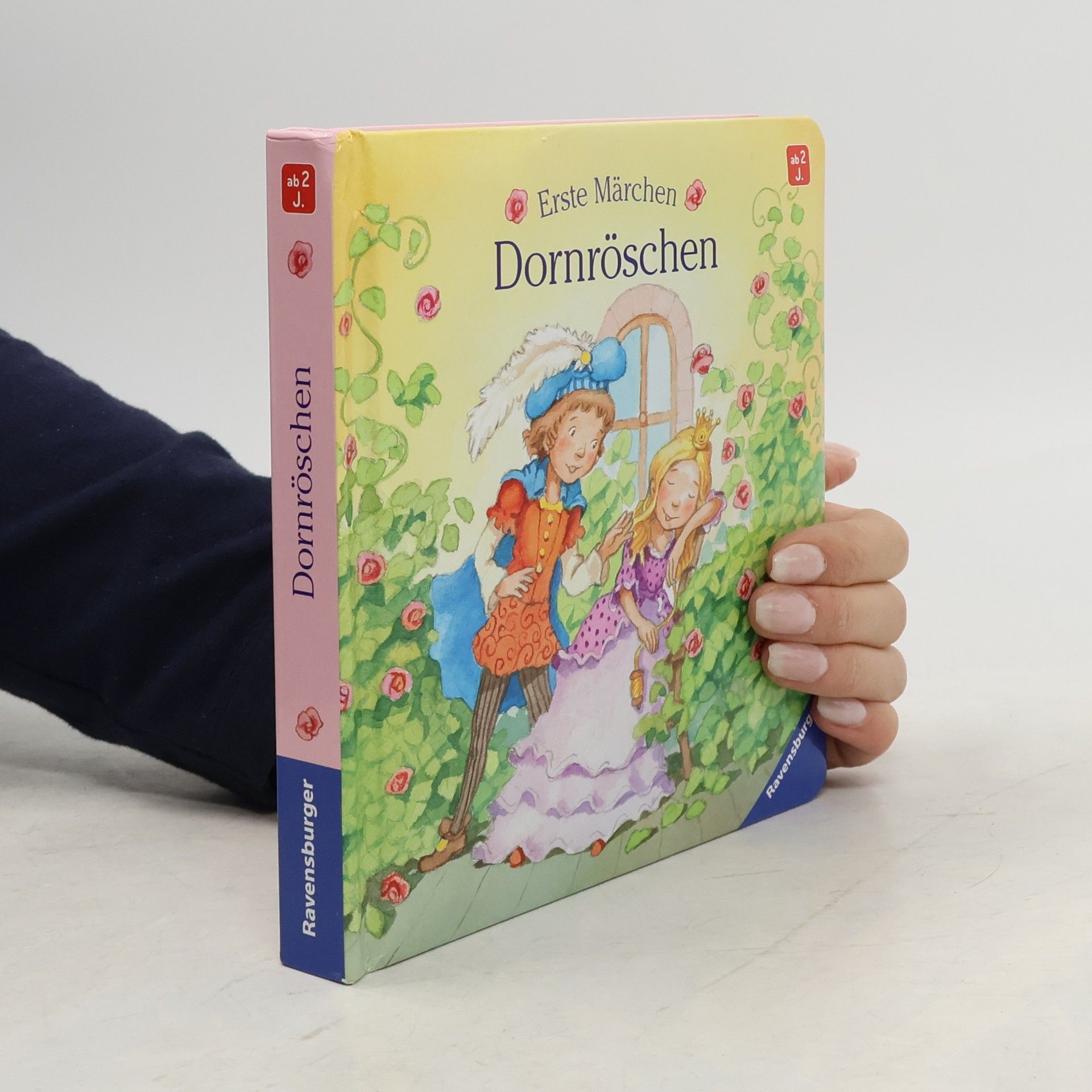 Autorenkollektiv Dornröschen