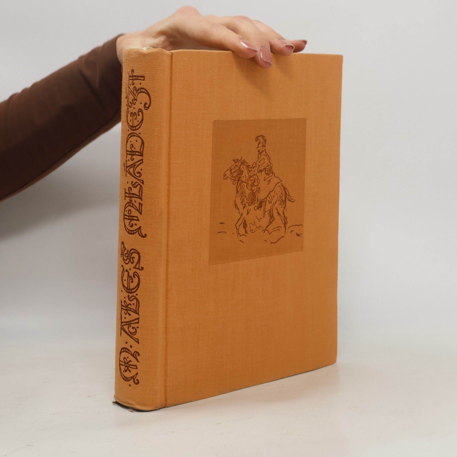 Mikoláš Aleš Mikoláš Aleš mládeži