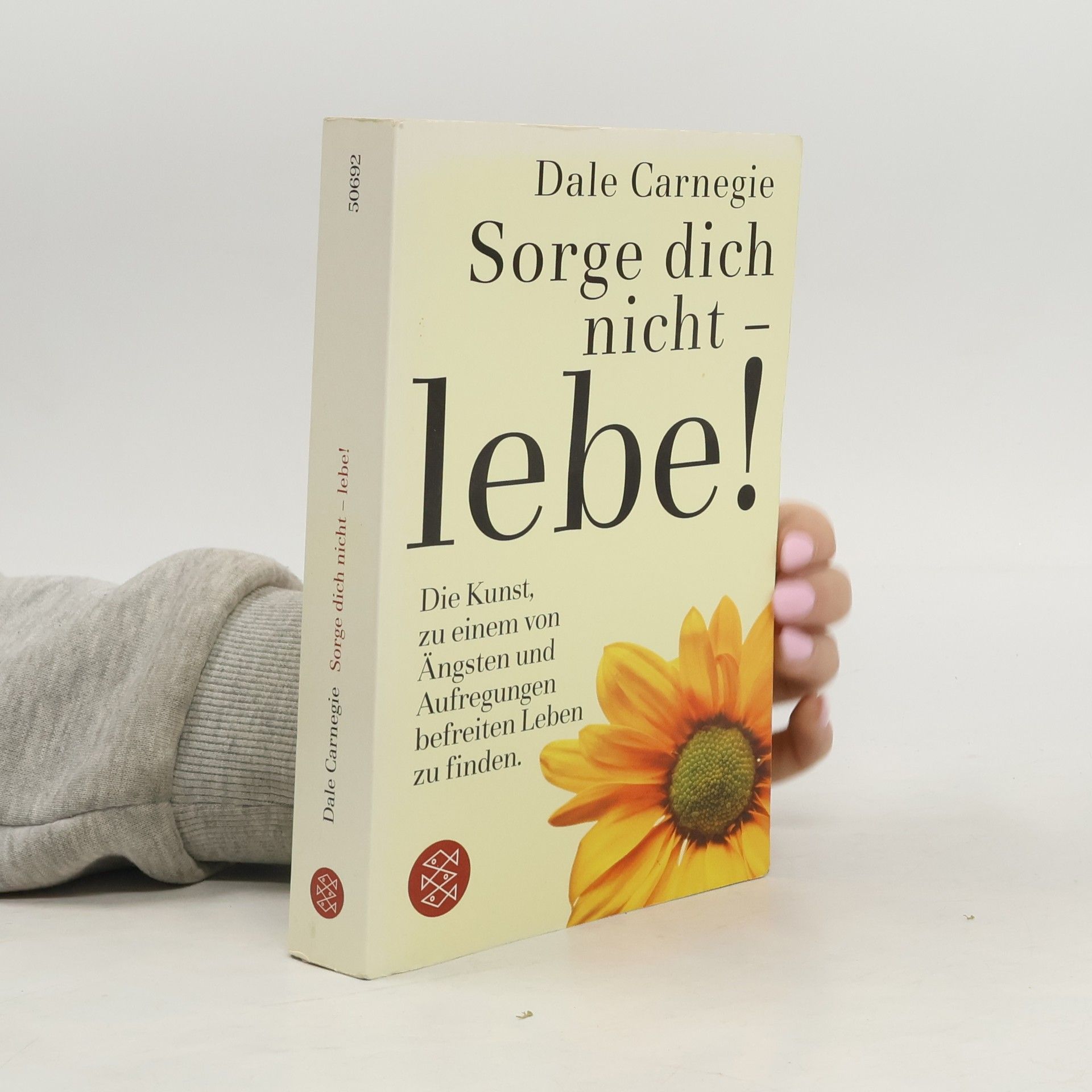Dale Carnegie Sorge dich nicht - lebe!