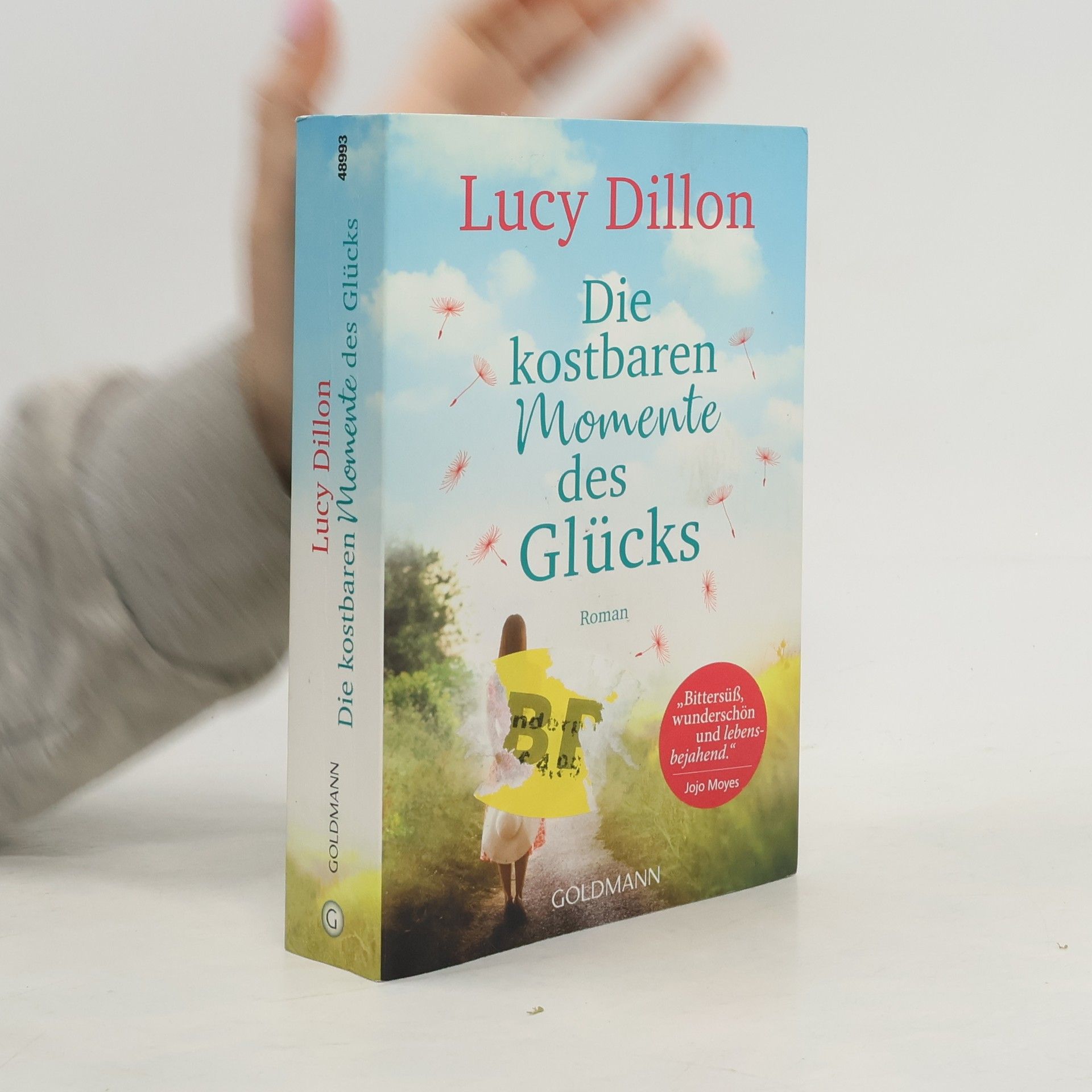 Lucy Dillon Die kostbaren Momente des Glücks