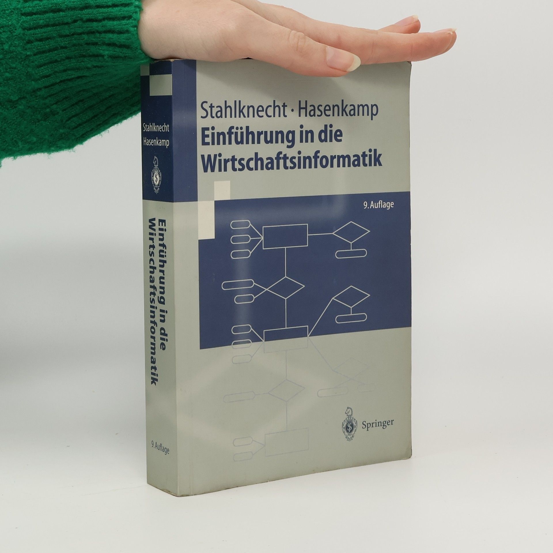 Peter Stahlknecht Einführung in die Wirtschaftsinformatik