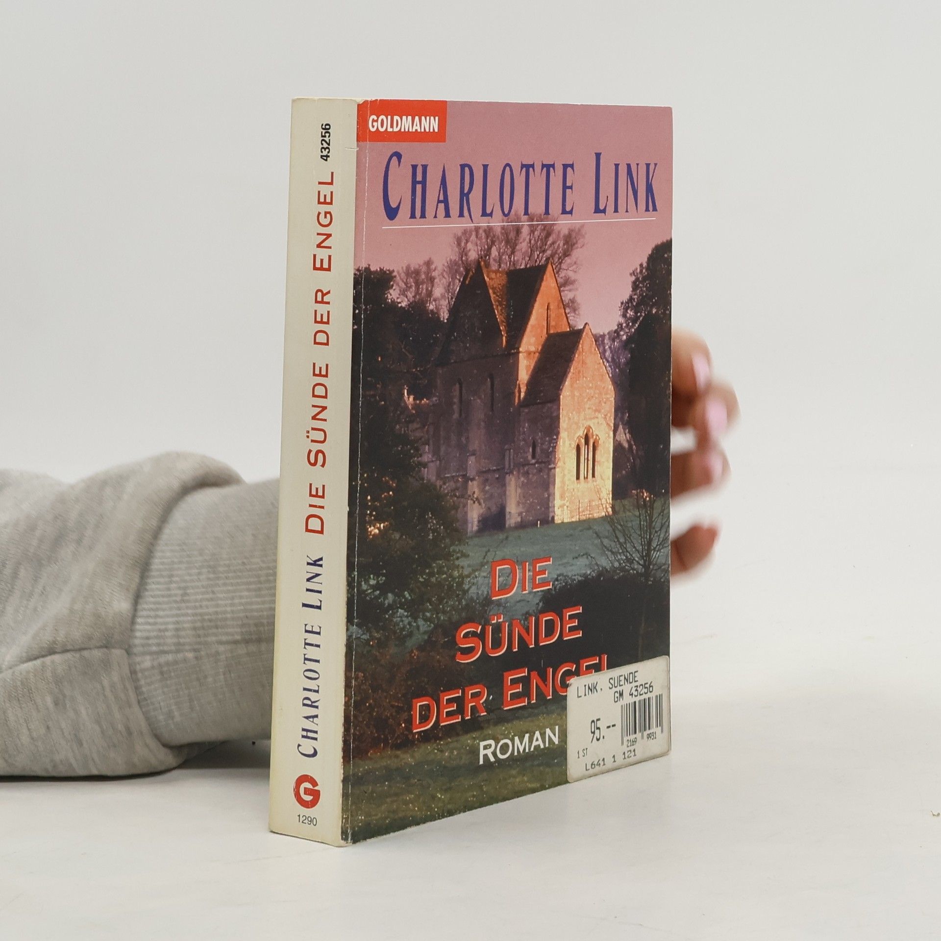 Charlotte Link Die Sünde der Engel