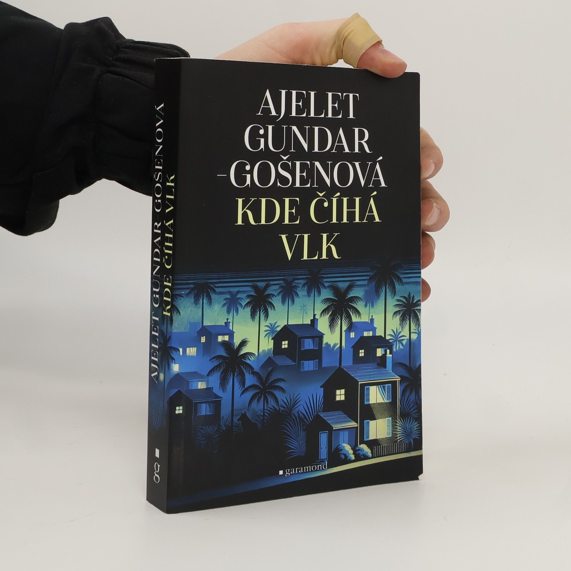 Ayelet Gundar-Goshen Kde číhá vlk