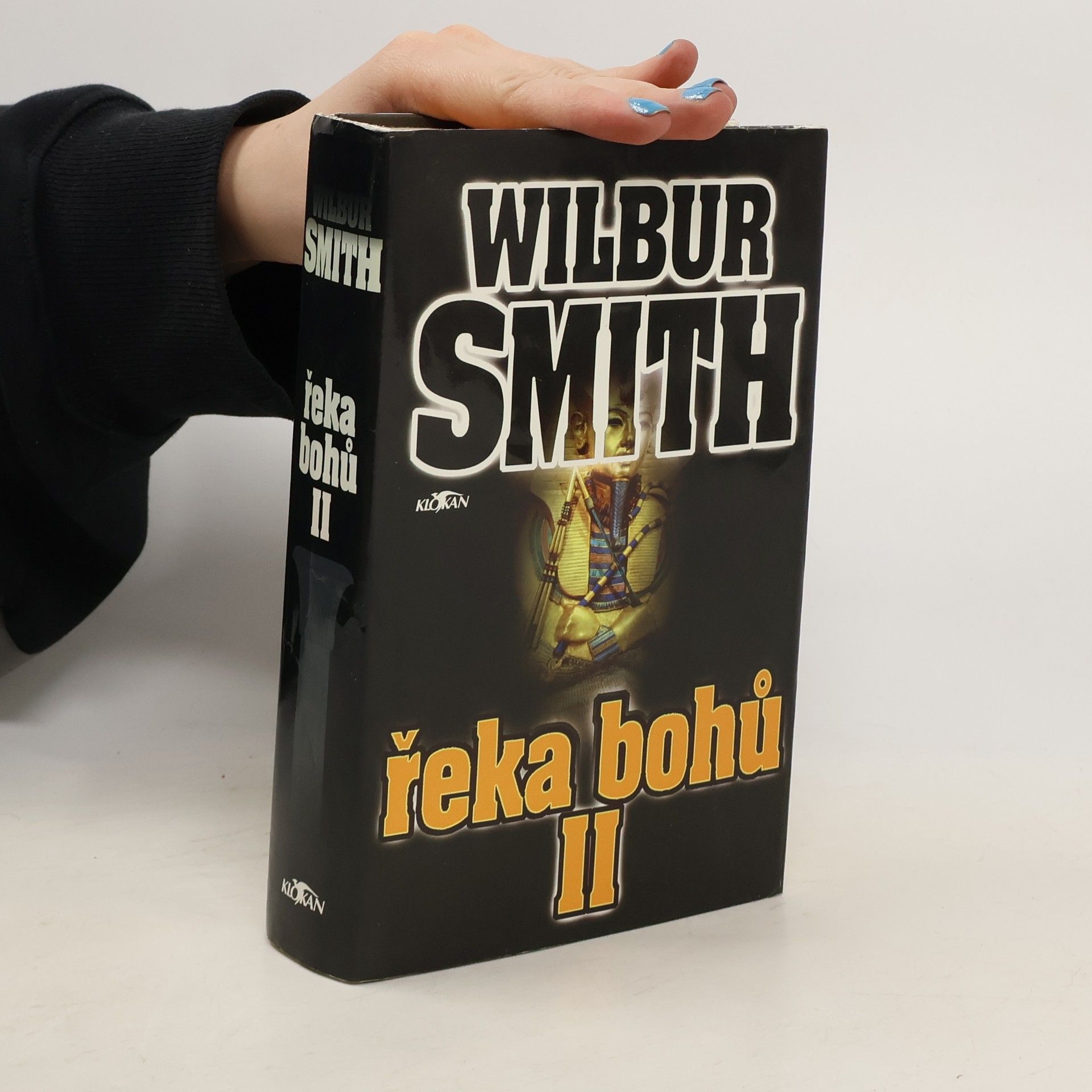 Wilbur Smith Řeka bohů II