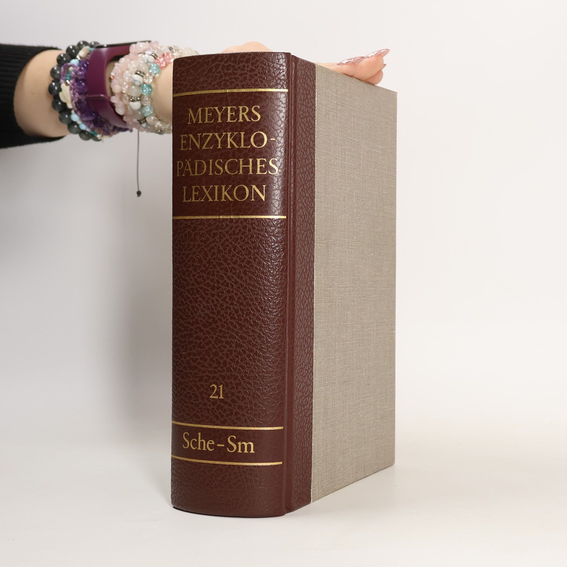 Autorenkollektiv Meyers Enzyklopädisches Lexikon 21. Sche-Sm