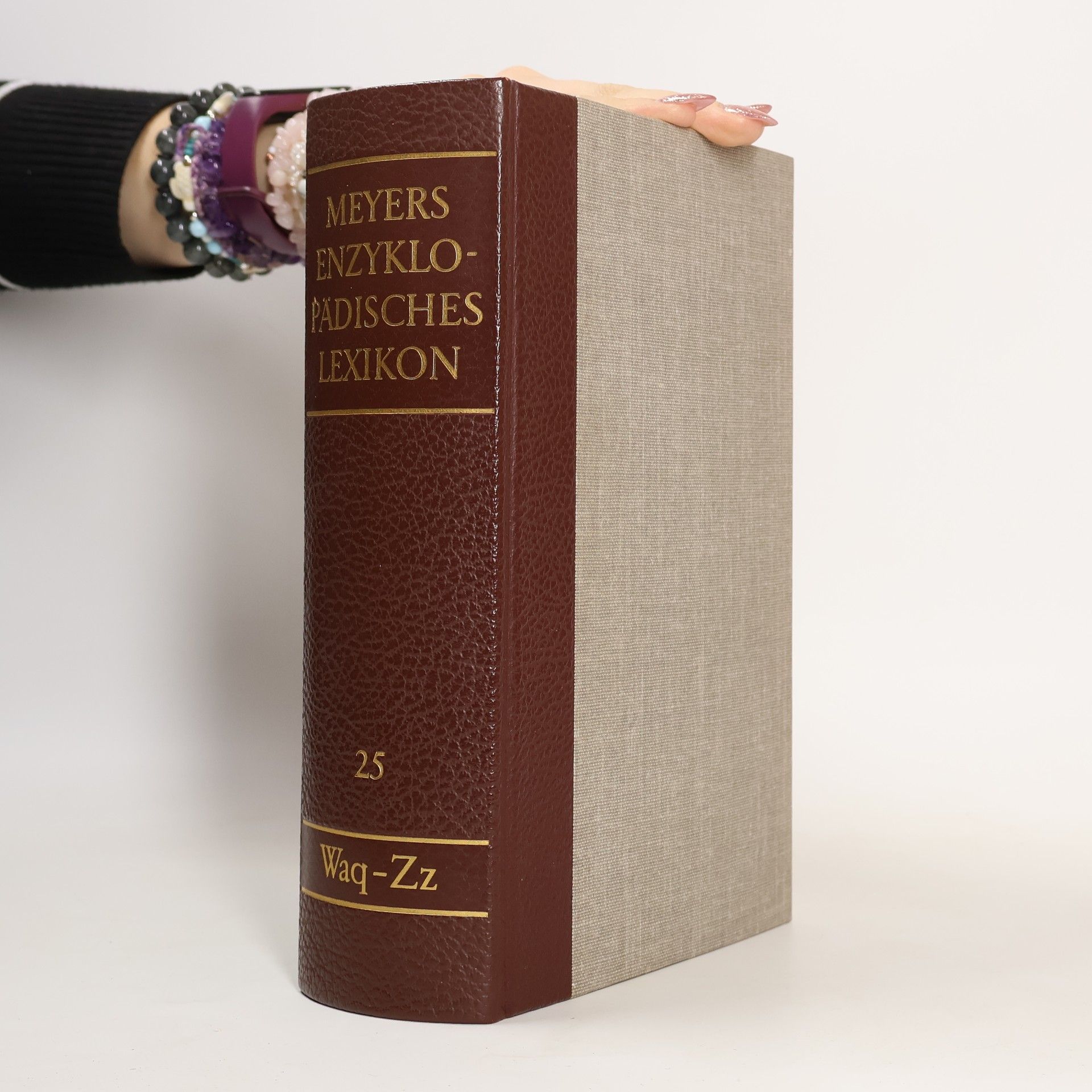 Autorenkollektiv Meyers Enzyklopädisches Lexikon in 25 Bänden. Band 25. Waq - Zz