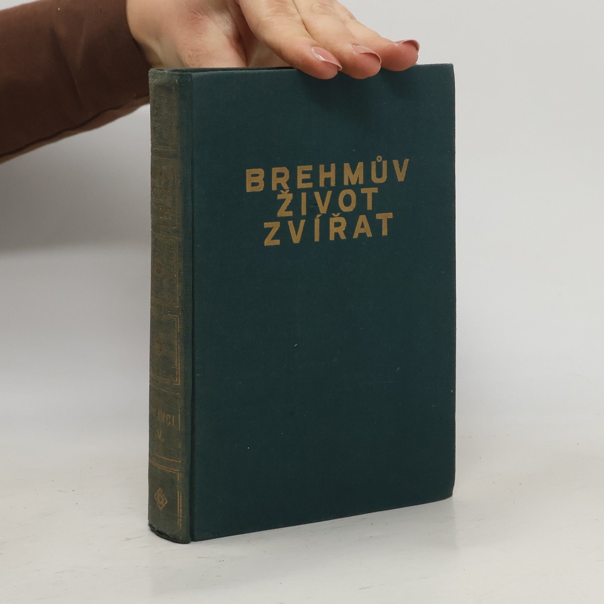 Adolf Meyer Brehmův život zvířat 9