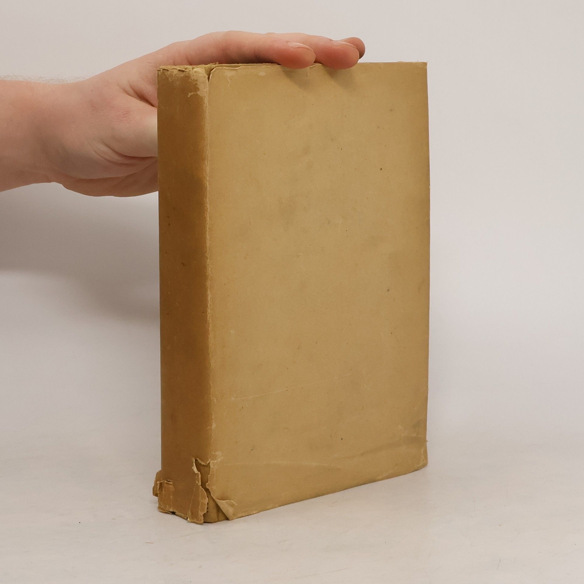 Wilhelm Raabe Pfisters Mühle