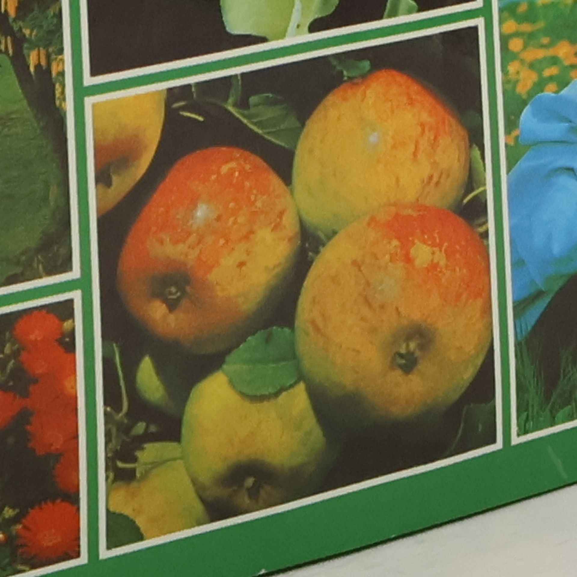 Autorenkollektiv Mein Gartenjahr