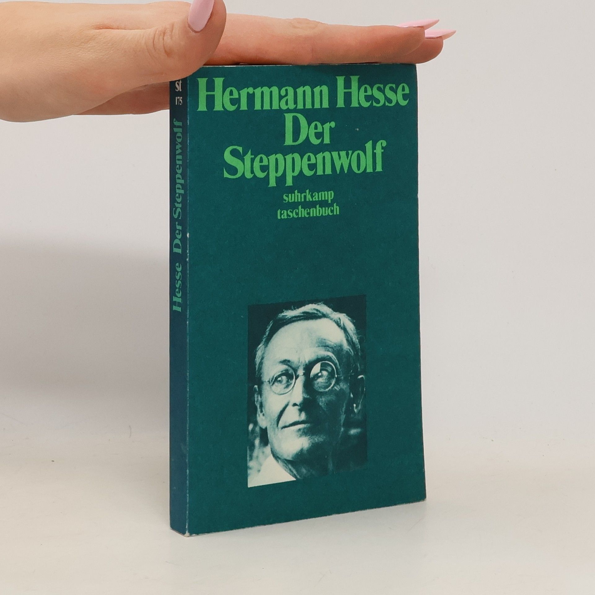 Hermann Hesse Der Steppenwolf