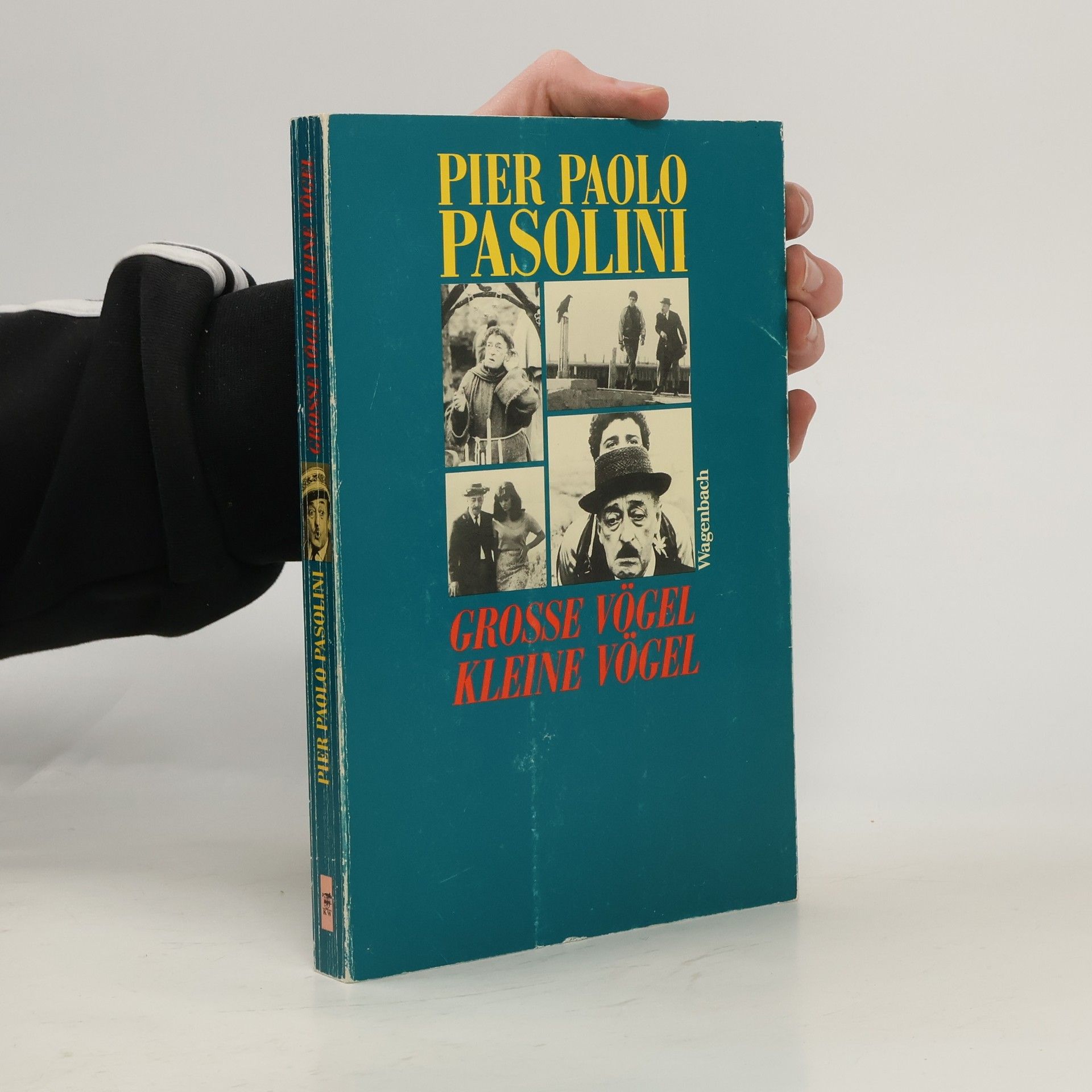 Pier Paolo Pasolini Grosse Vögel, kleine Vögel