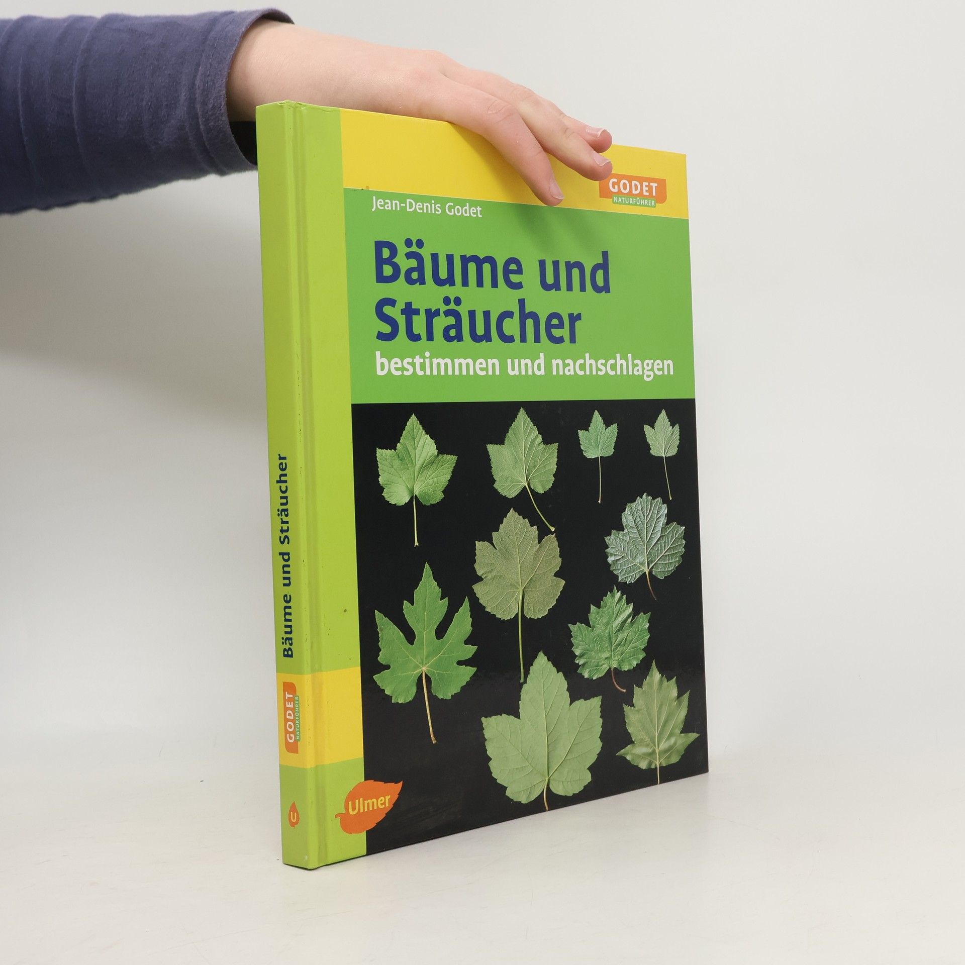 Jean Denis Godet Bäume und Sträucher