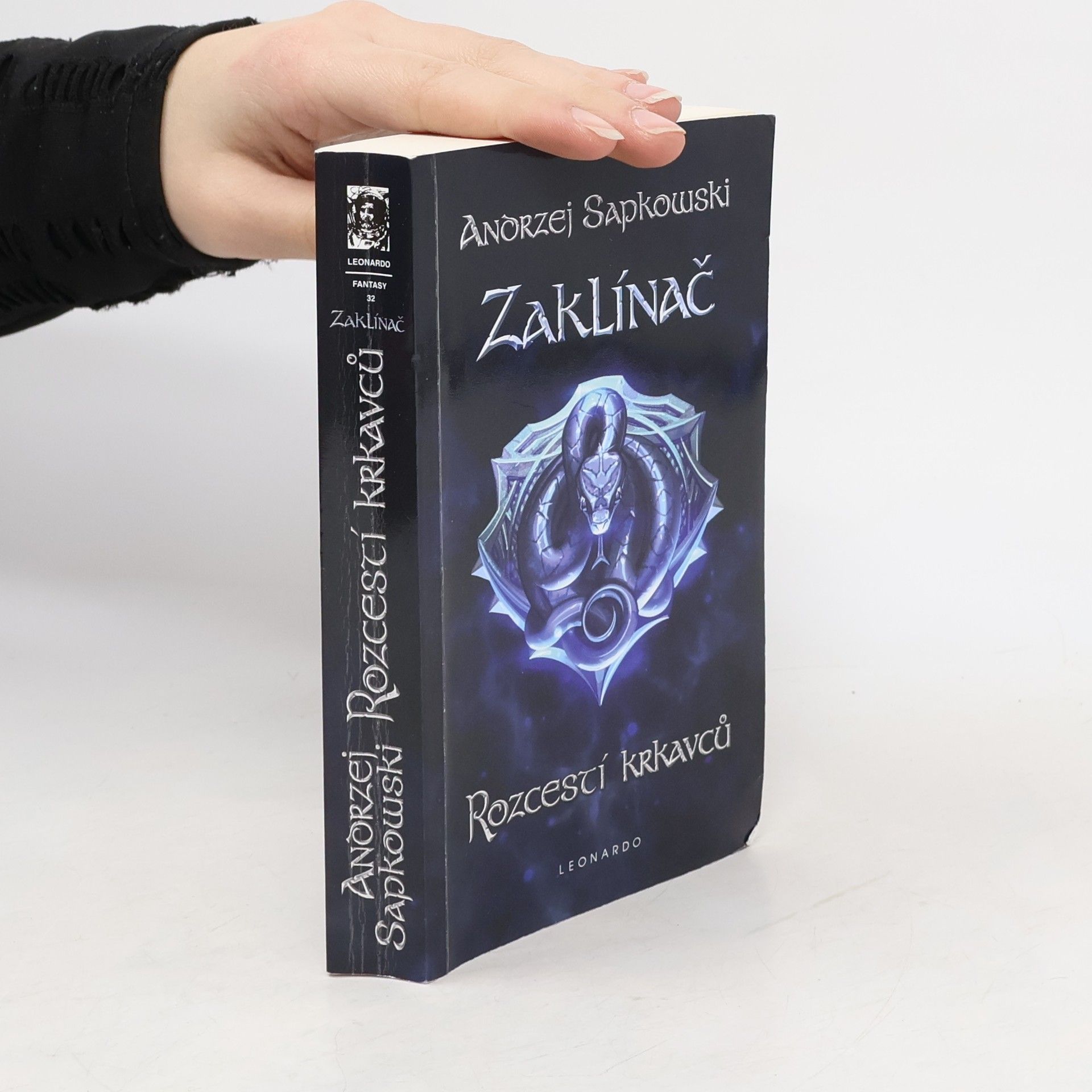 Zaklínač IX. Rozcestí krkavců