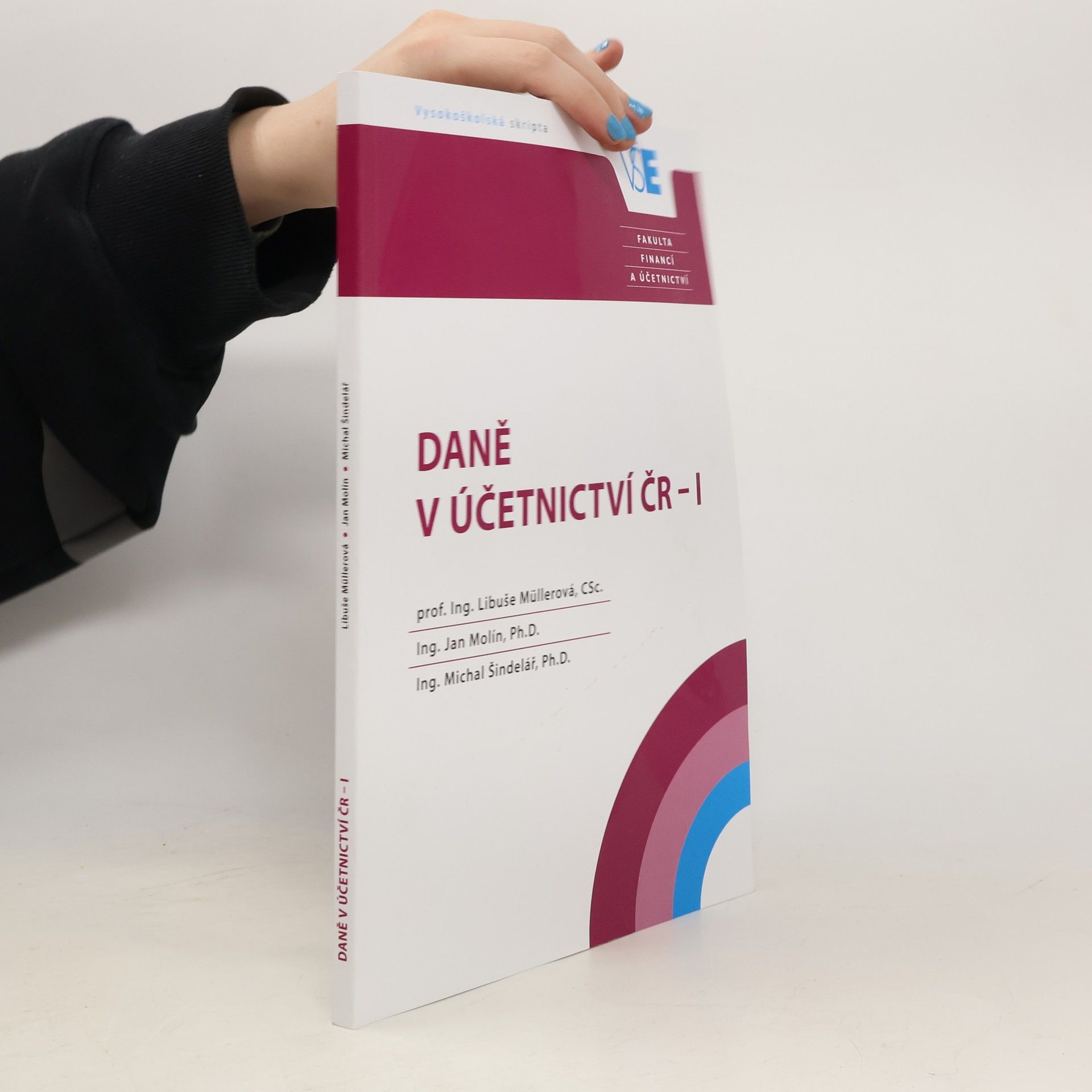 Daně v účetnictví ČR