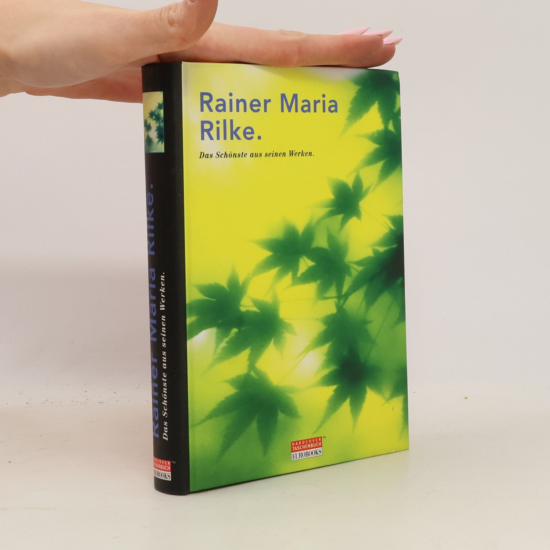 Rainer Maria Rilke Das Schönste aus seinen Werken