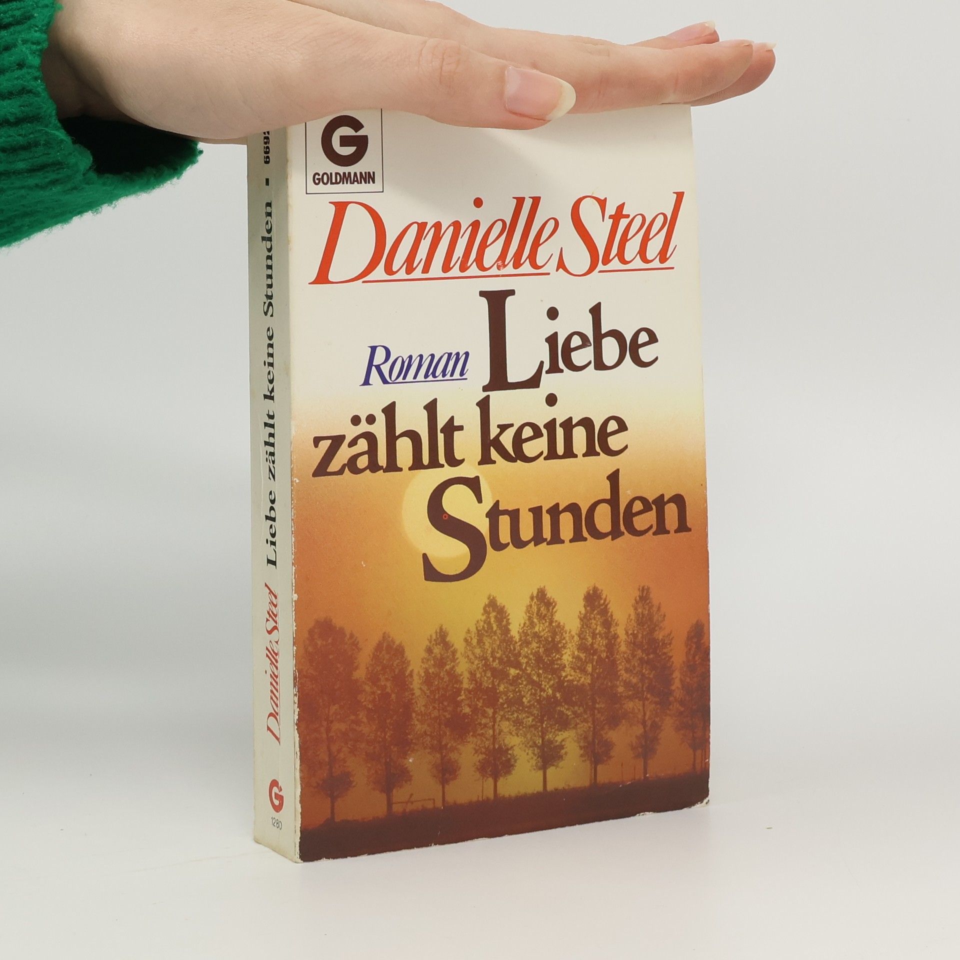 Danielle Steel Liebe zählt keine Stunden