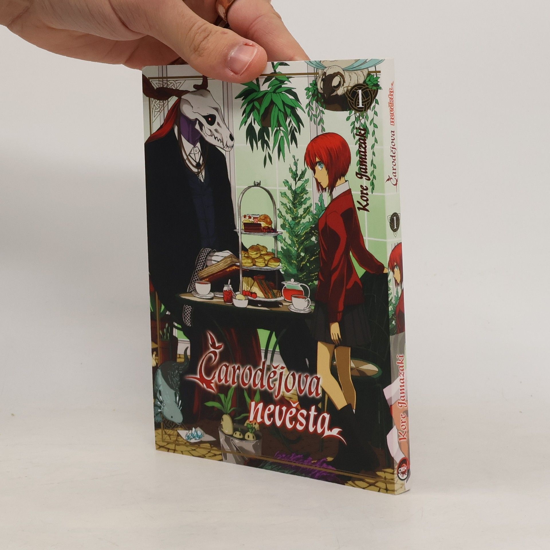 Kore Jamazaki Čarodějova nevěsta 1