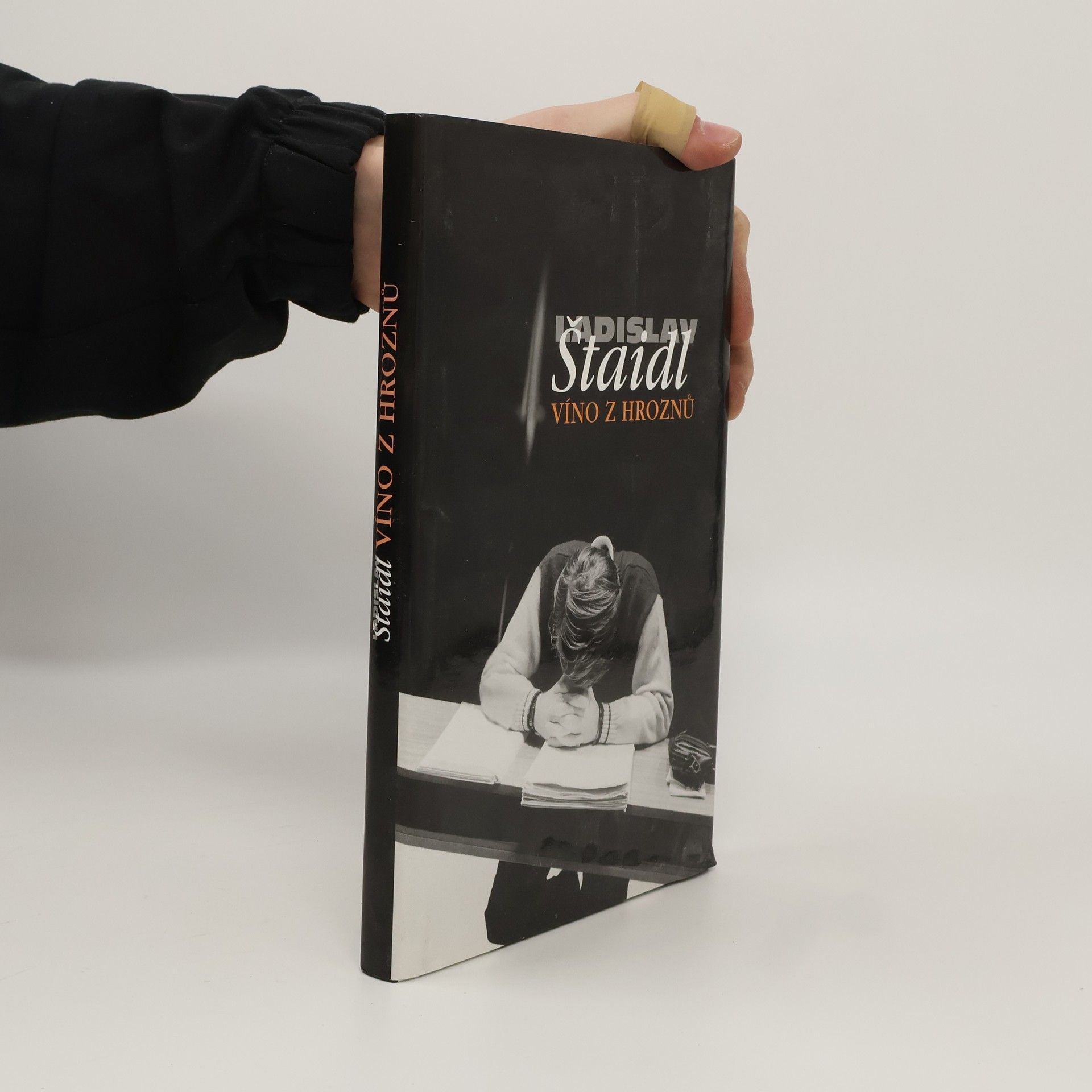 Ladislav Štaidl Víno z hroznů