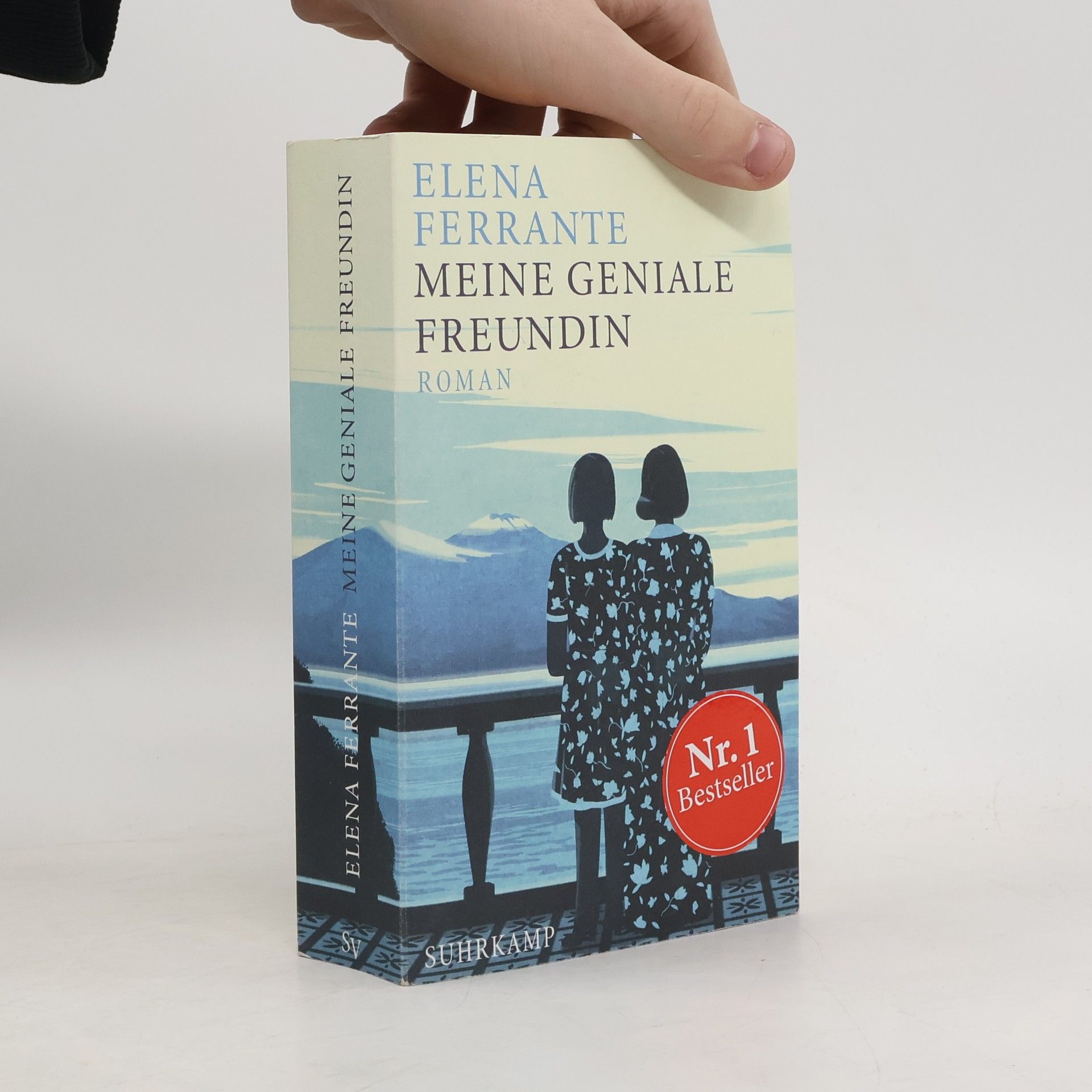 Elena Ferrante Meine geniale Freundin