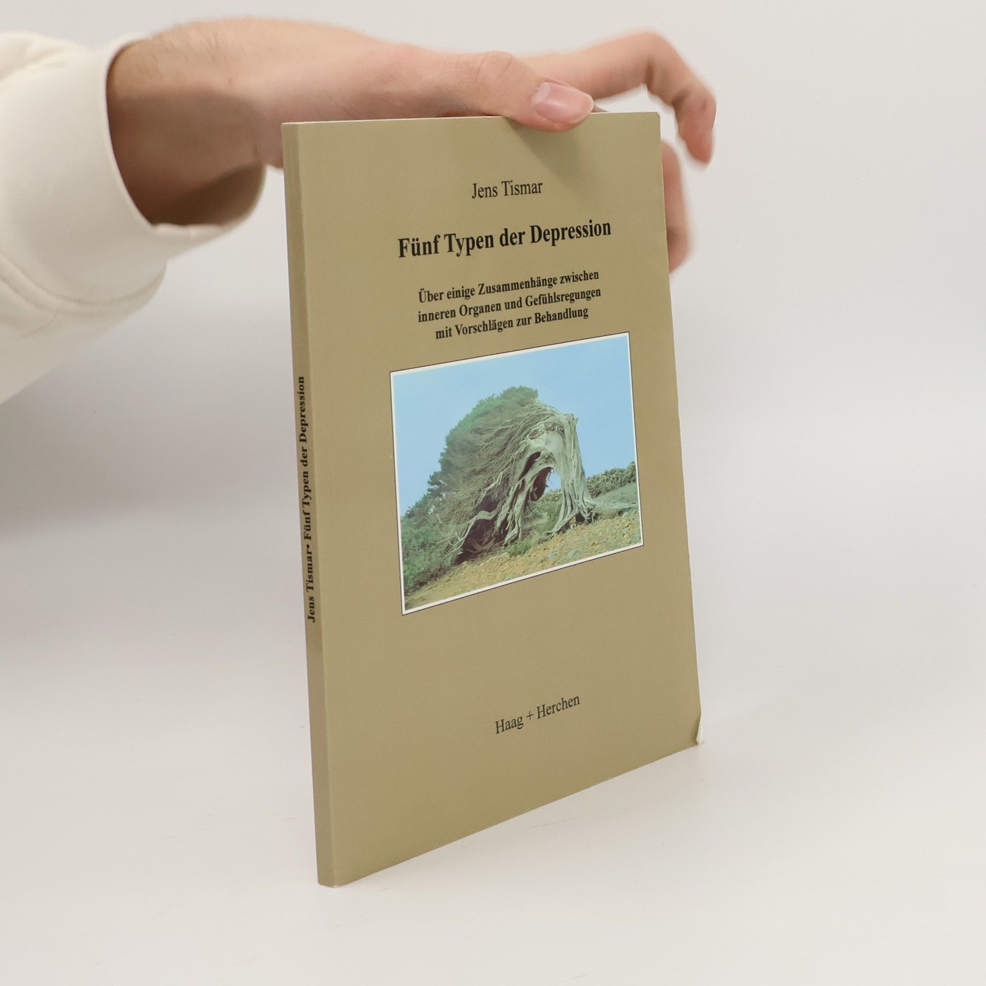 Jens Tismar Fünf Typen der Depression
