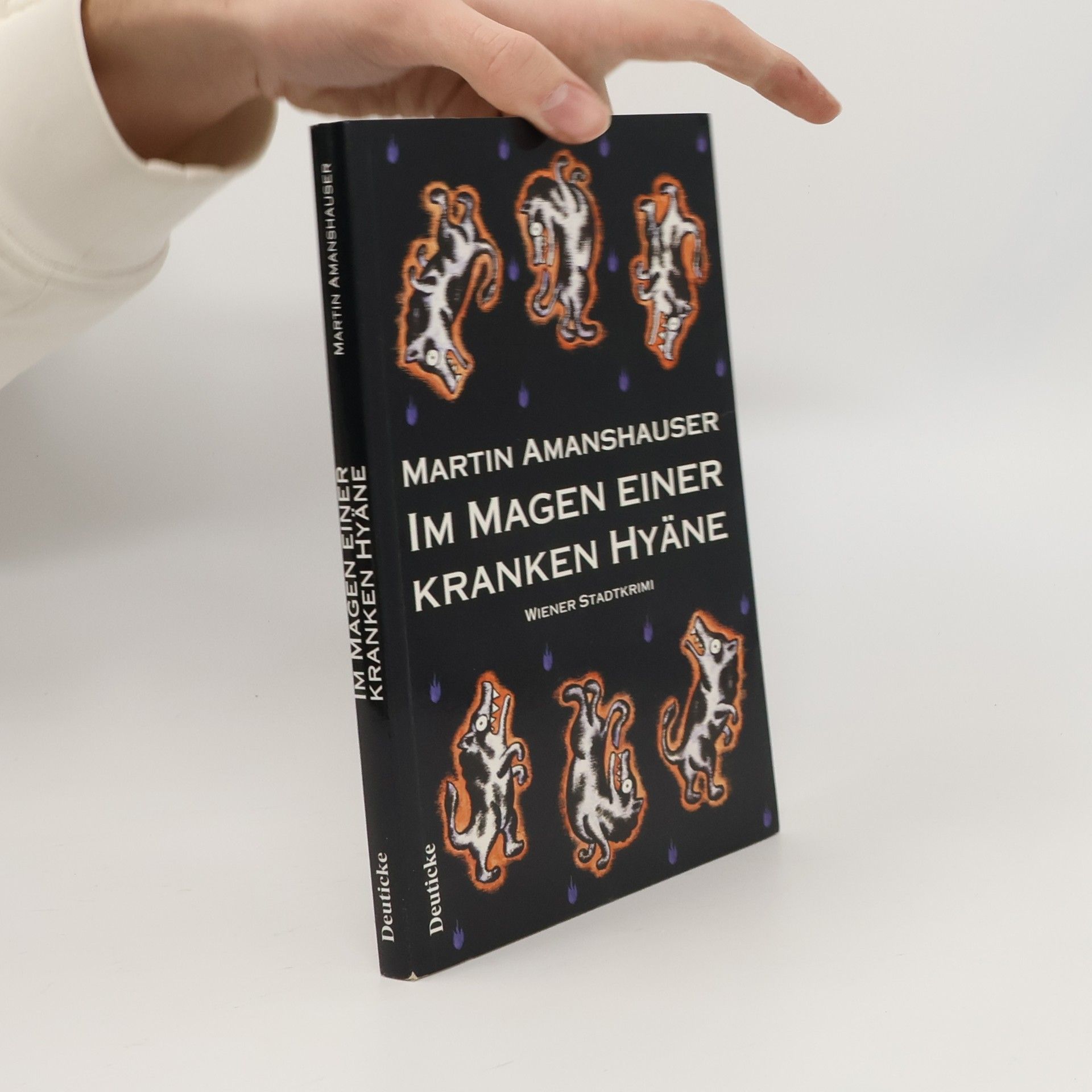 Martin Amanshauser Im Magen einer kranken Hyäne