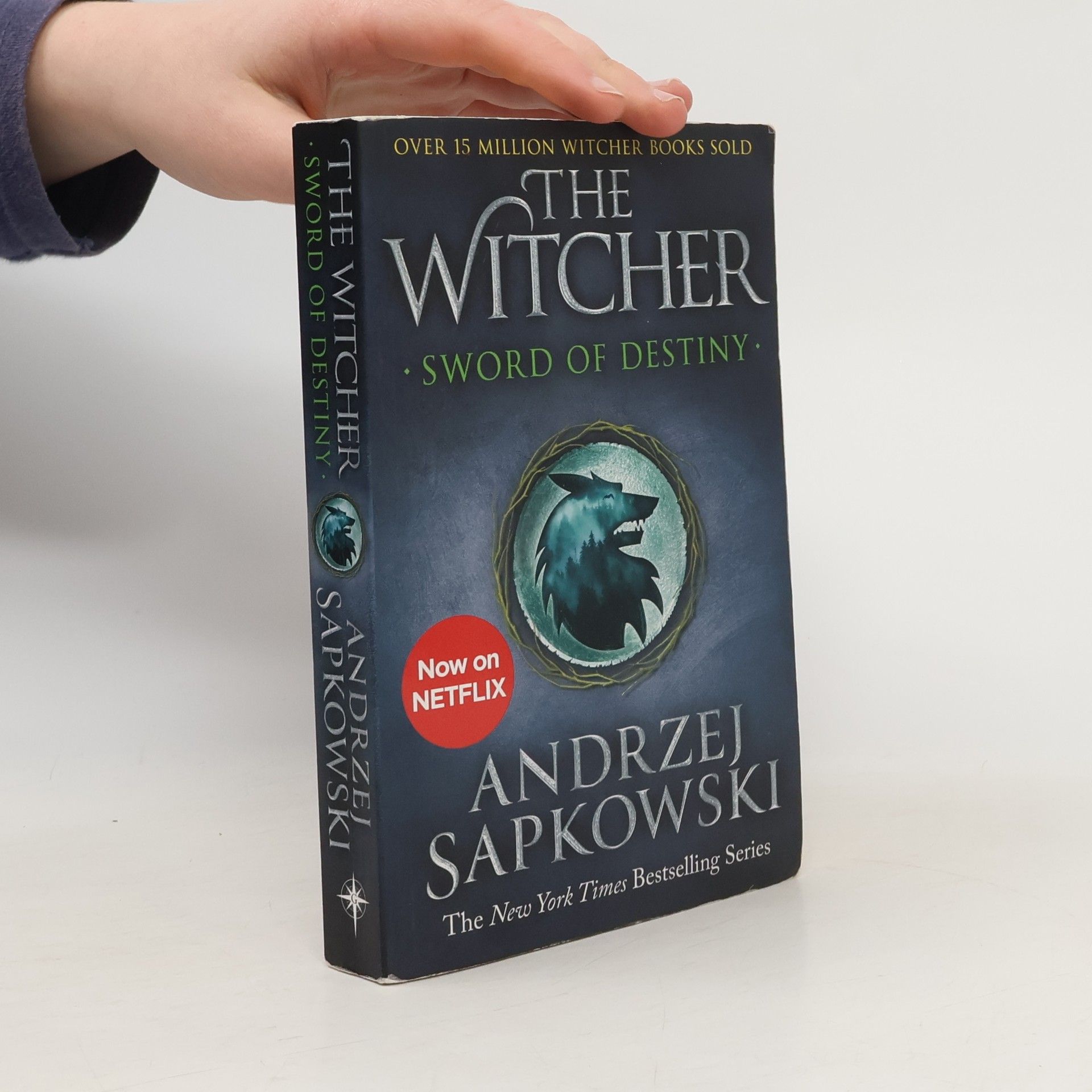 Andrzej Sapkowski The Witcher: Sword of destiny