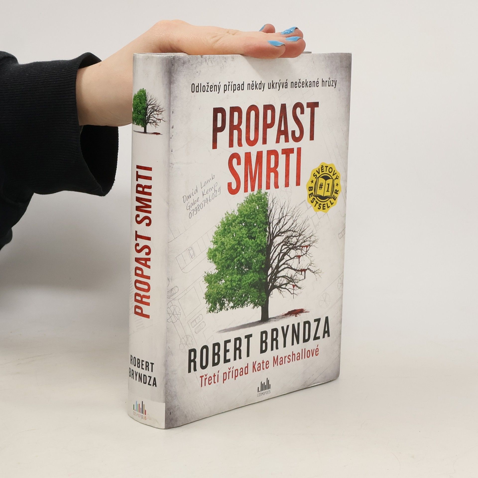 Robert Bryndza Propast smrti