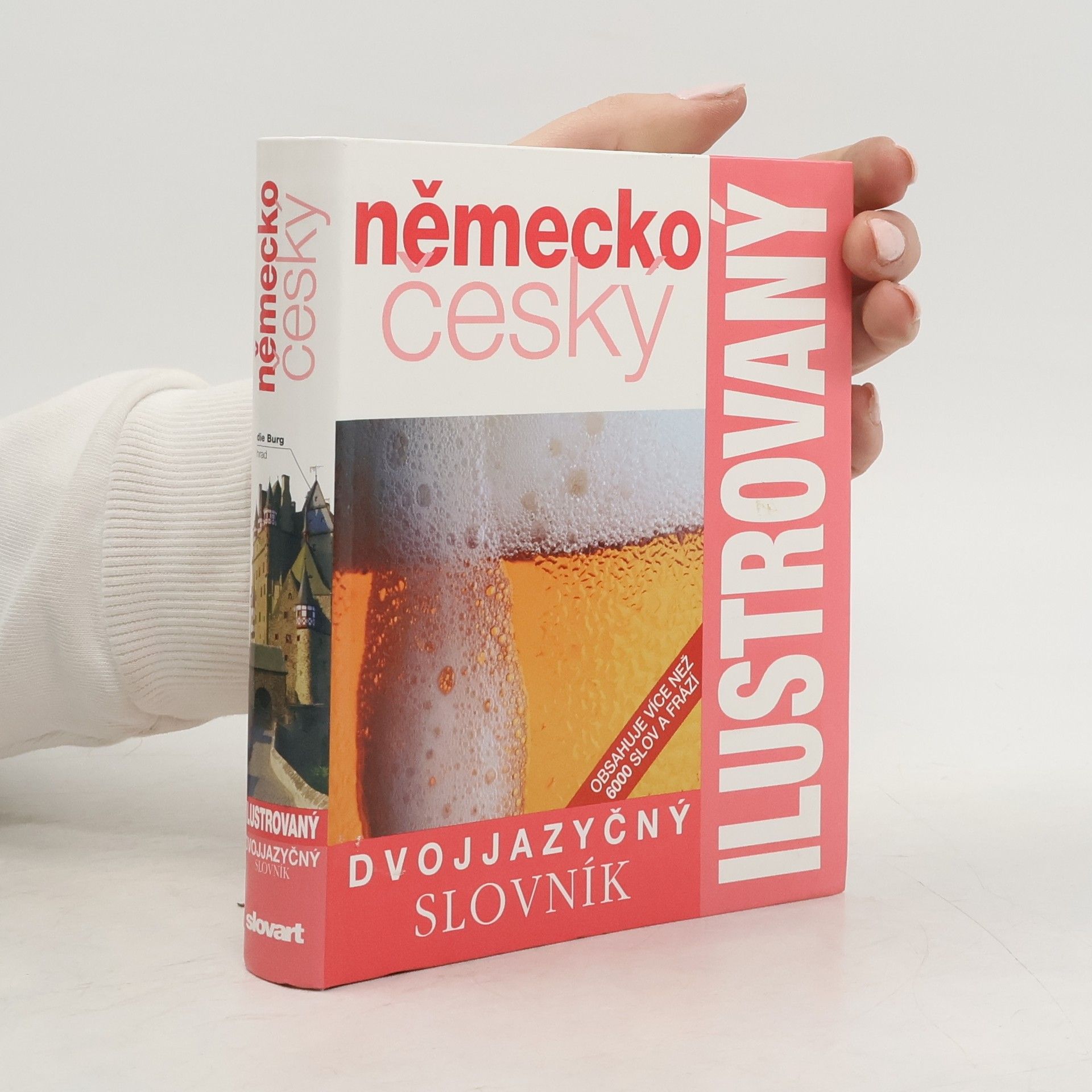 Kolektiv autorů Německo-český dvojjazyčný ilustrovaný slovník