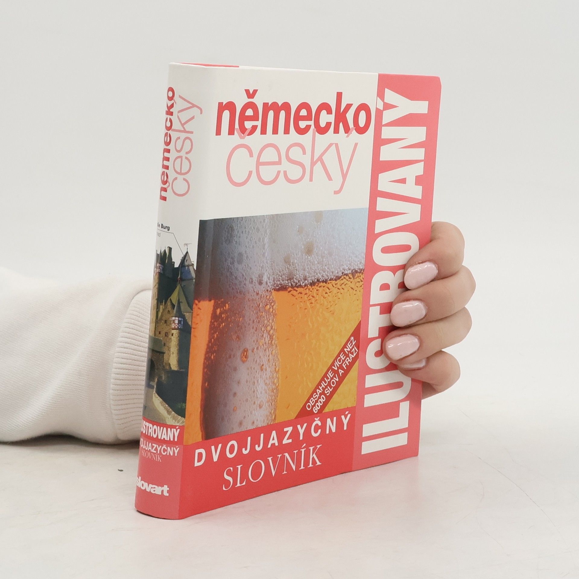 Zuzanna Bedřichová Německo-český dvojjazyčný ilustrovaný slovník