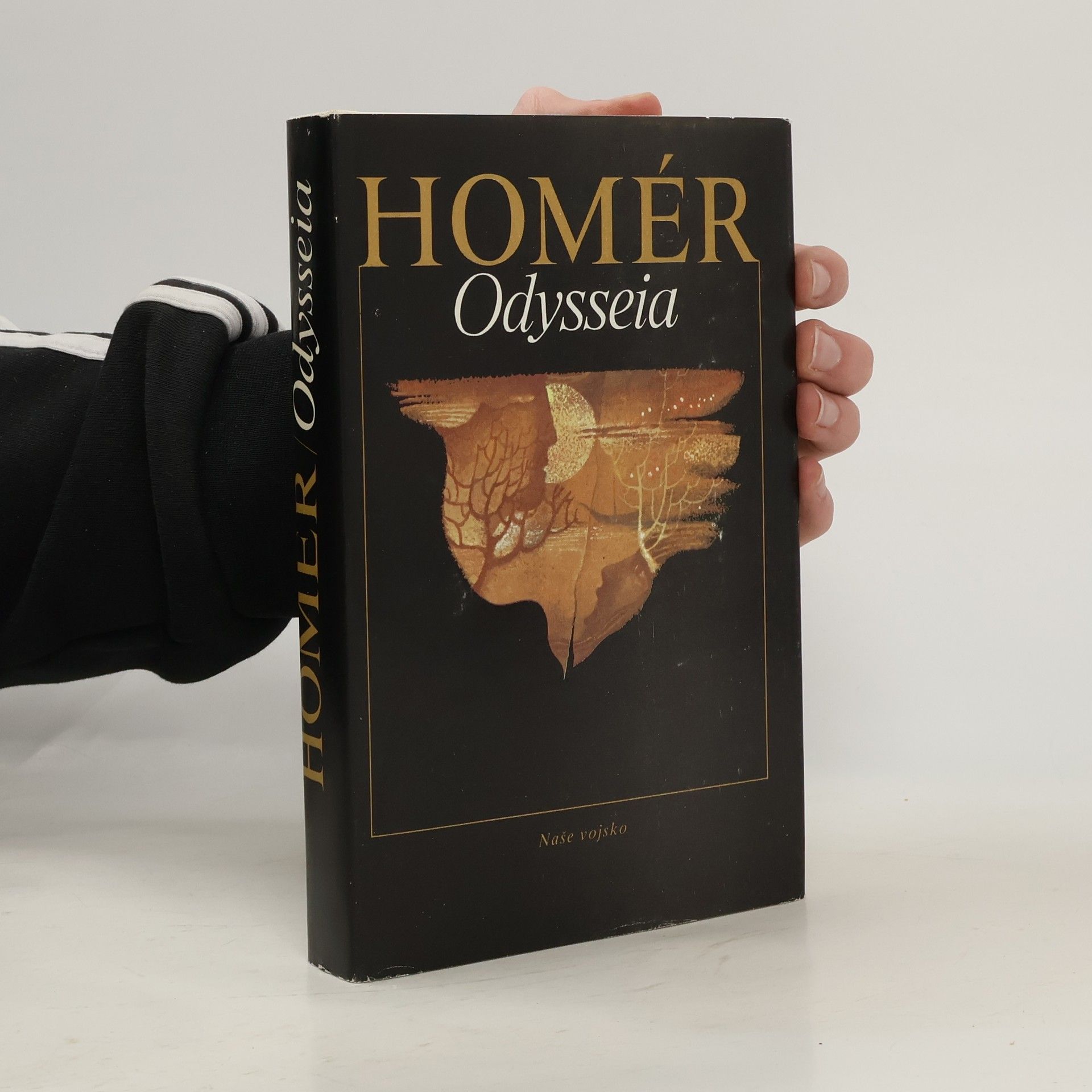 Aleš Striegl Odysseia