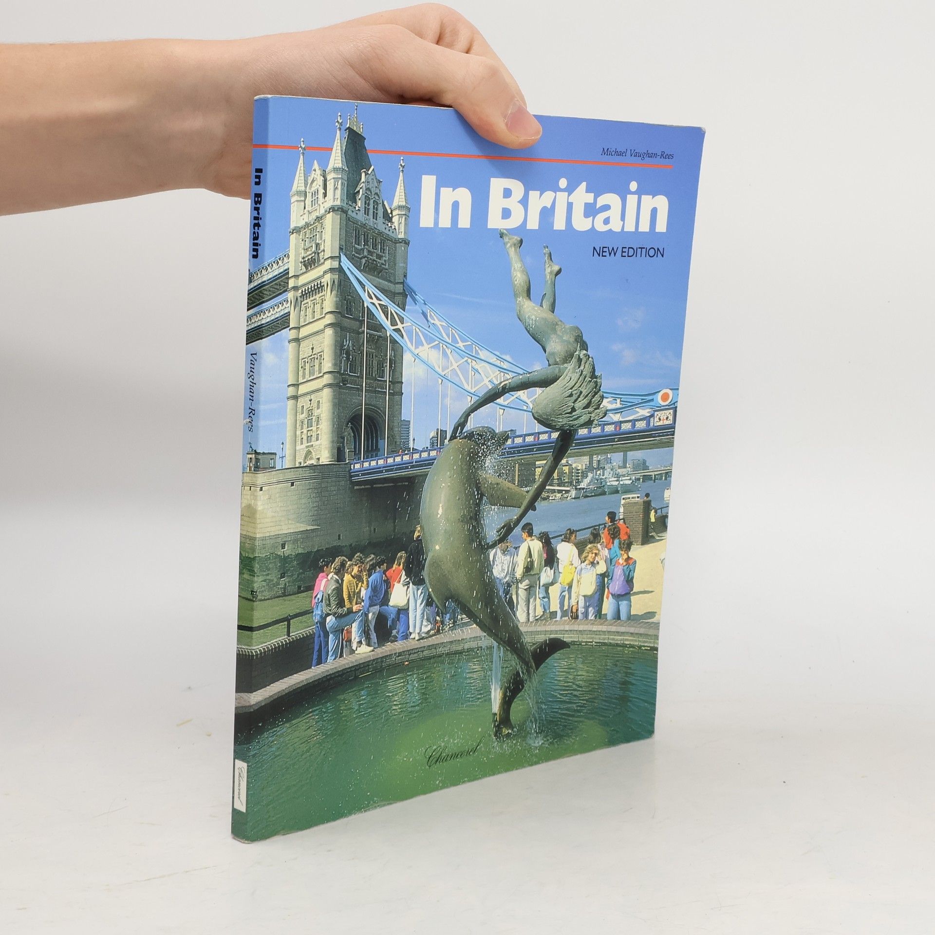 Michael Vaughan Rees In Britain