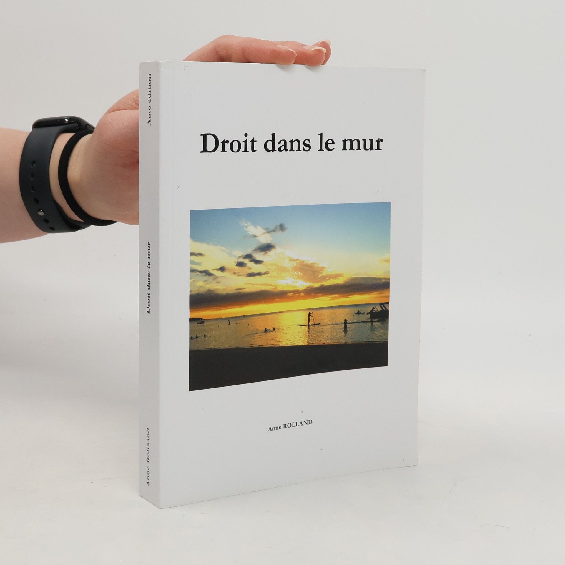 Anne Rolland Droit dans le mur