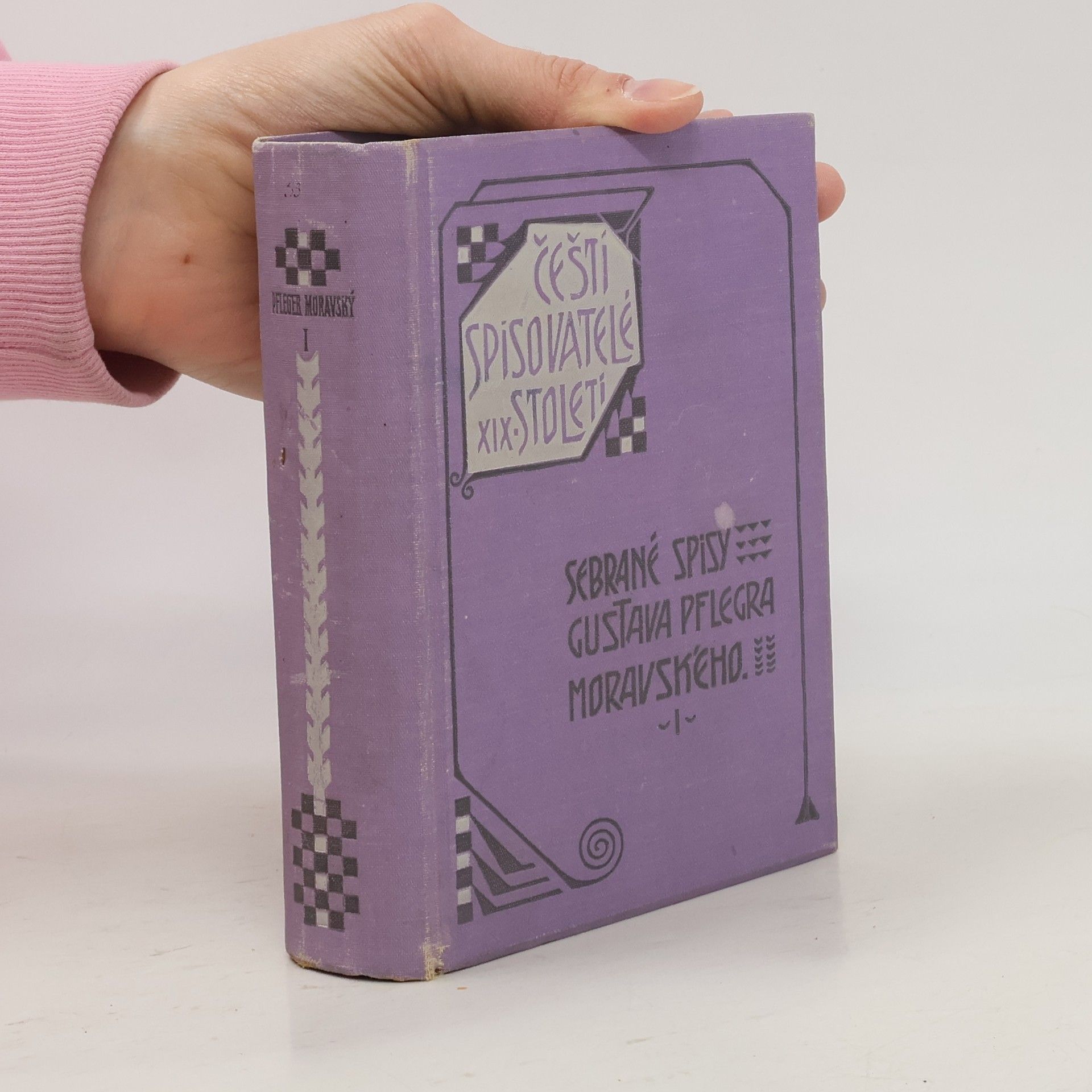 Autorenkollektiv Čeští spisovatelé XIX. století