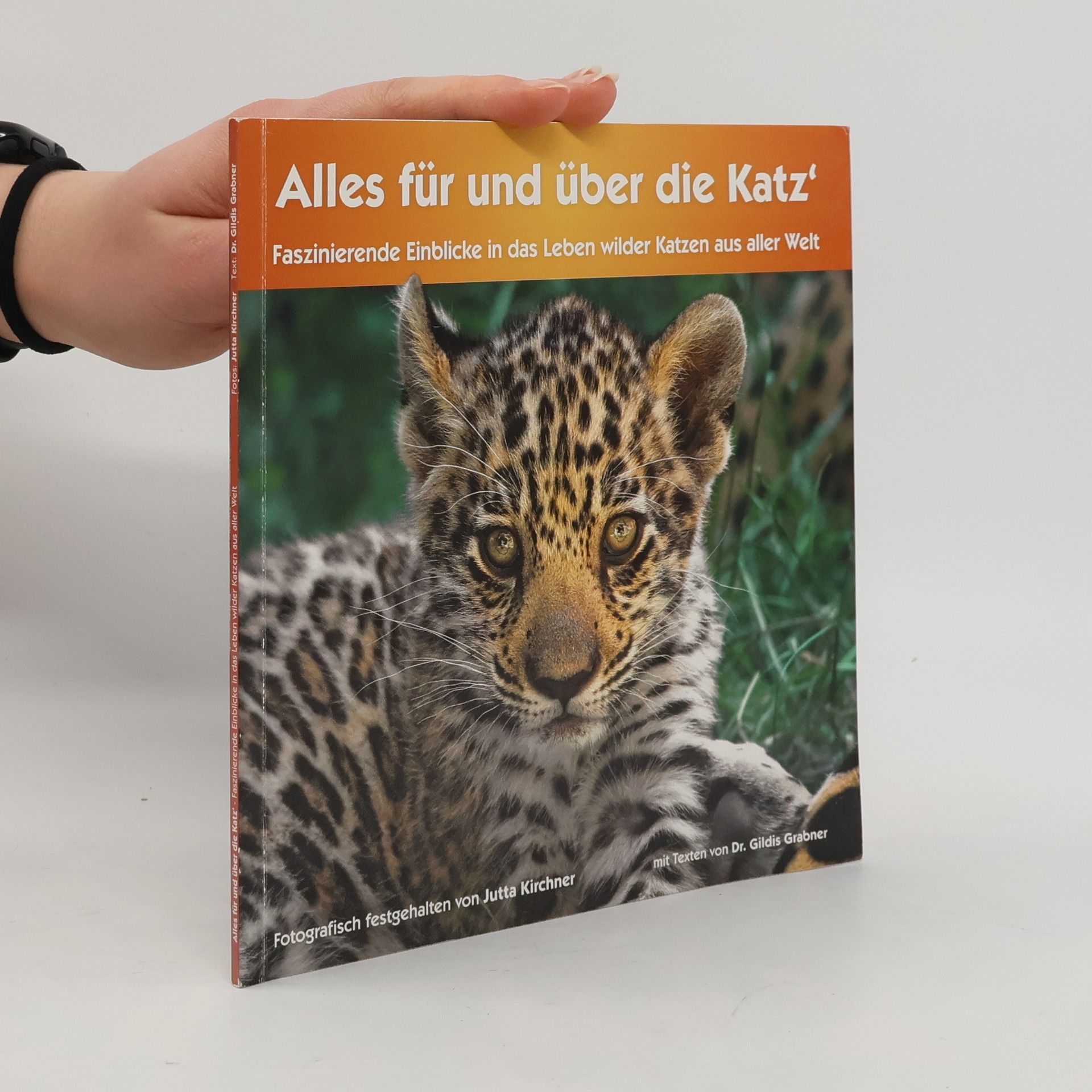 Gildis Grabner Alles für und über die Katz'