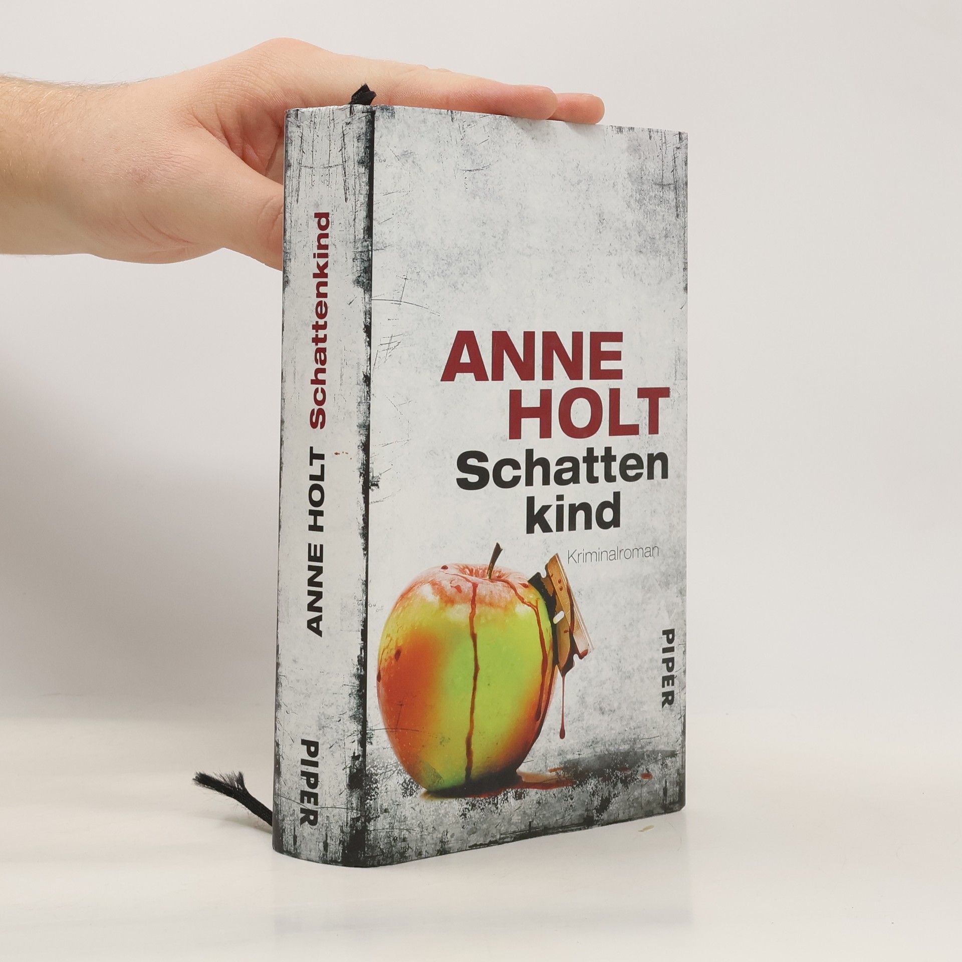 Anne Holt Schattenkind