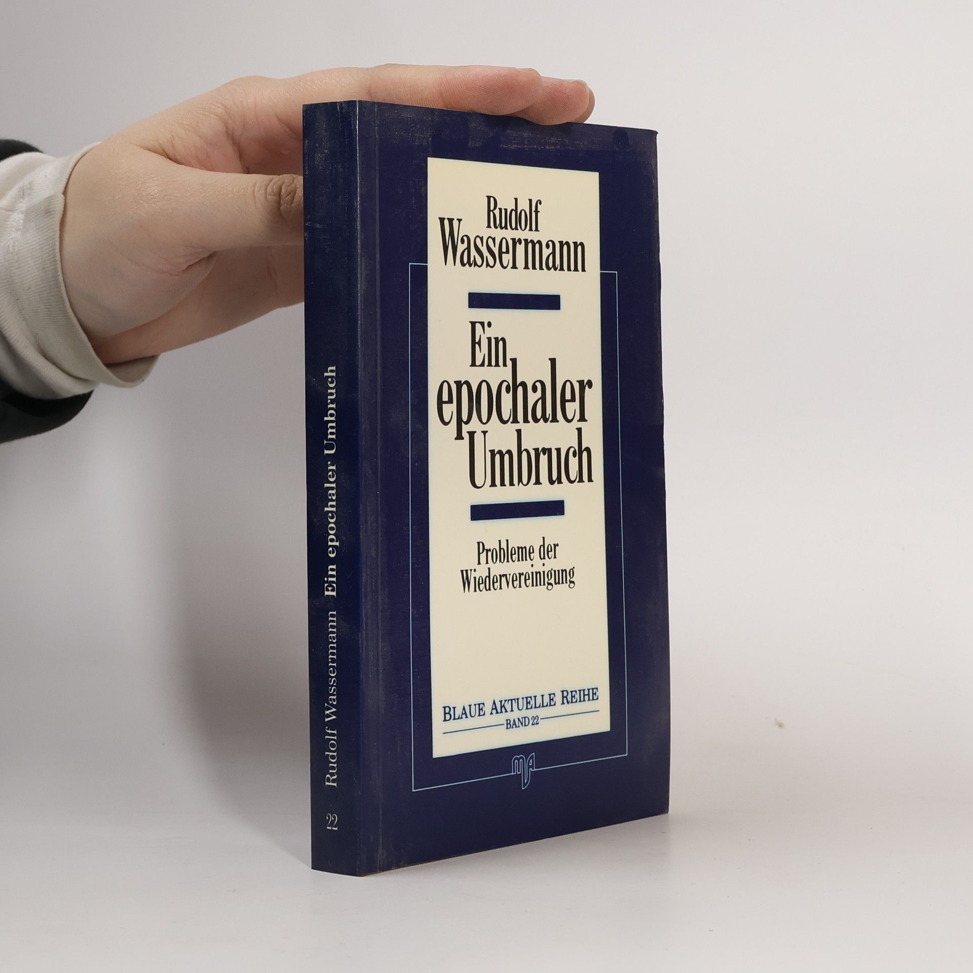 Ein epochaler Umbruch. Probleme der Wiedervereinigung. Band 22