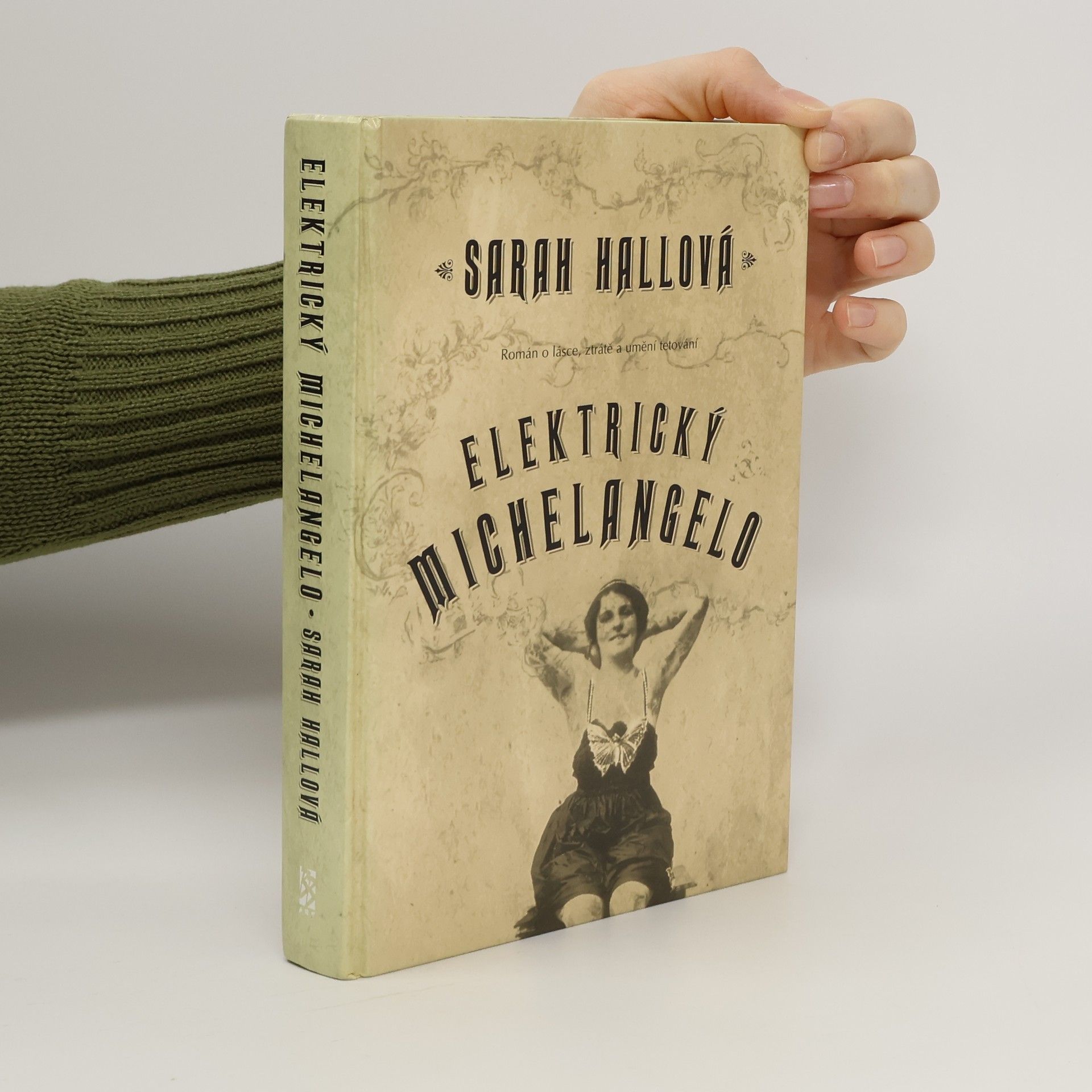 Sarah Hall Elektrický Michelangelo