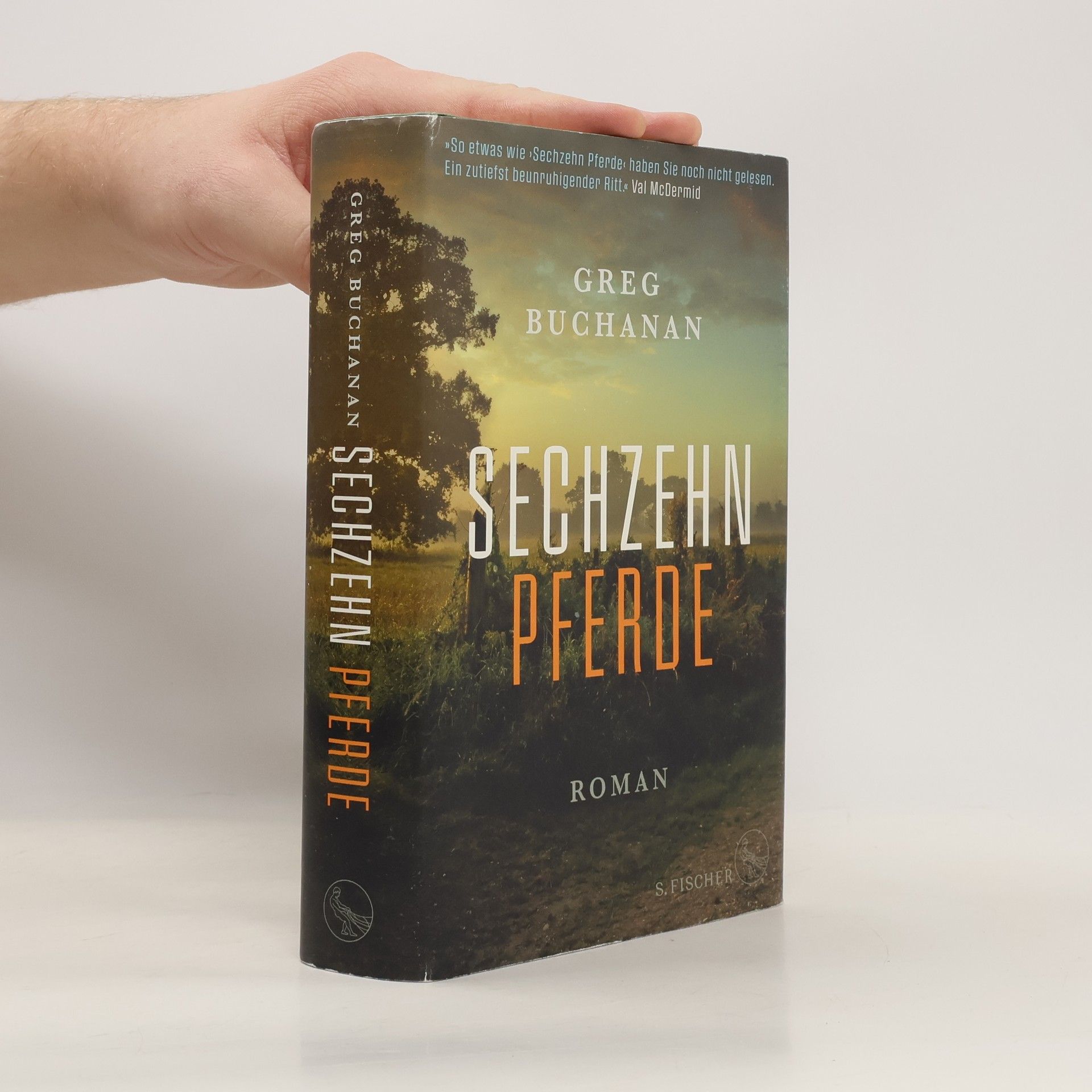 Greg Buchanan Sechzehn Pferde
