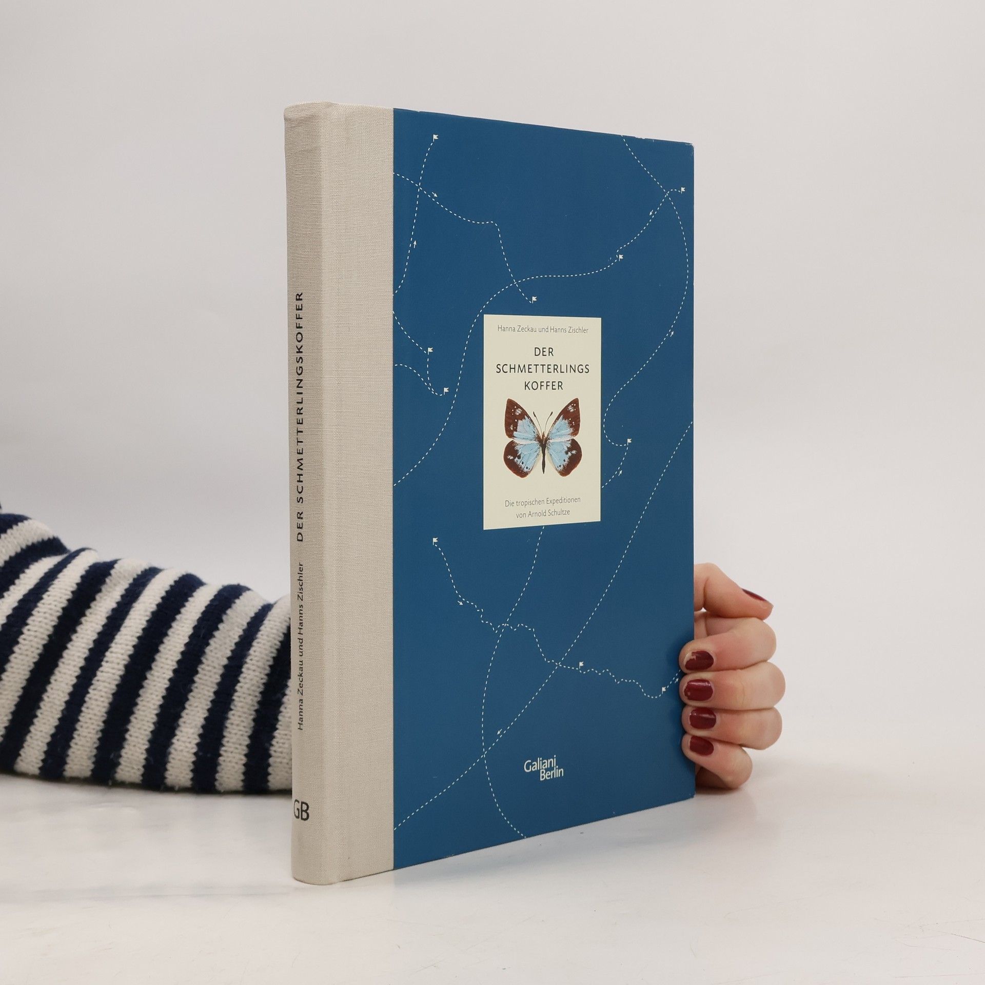 Arnold Schultze Der Schmetterlingskoffer