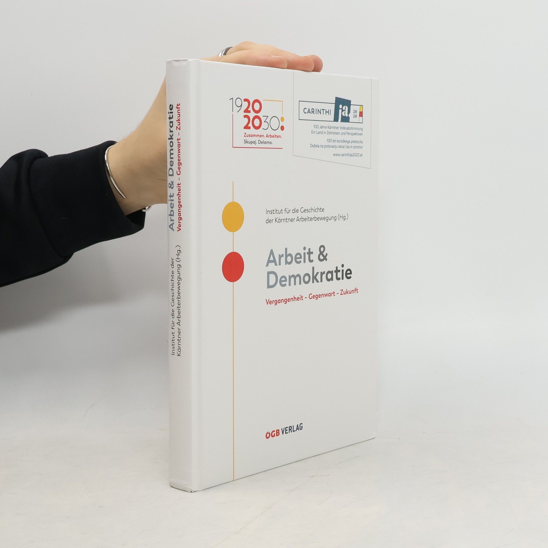 Daniel Weidlitsch Arbeit & Demokratie